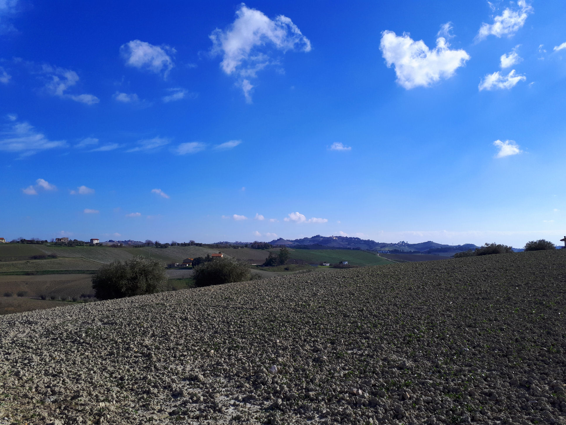 Casale Colonico Rustico in vendita a Appignano del Tronto, Collinare