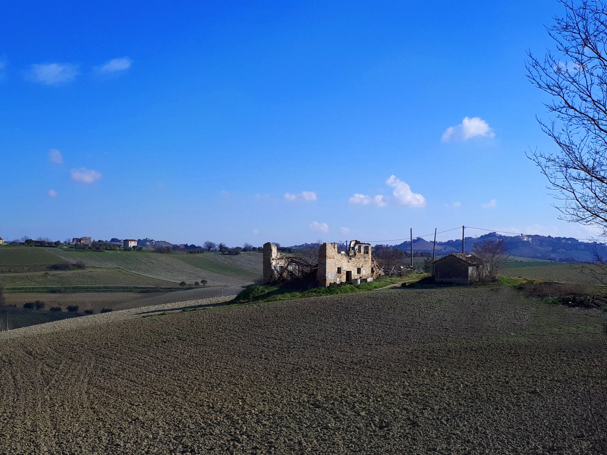 Casale Colonico Rustico in vendita a Appignano del Tronto, Collinare