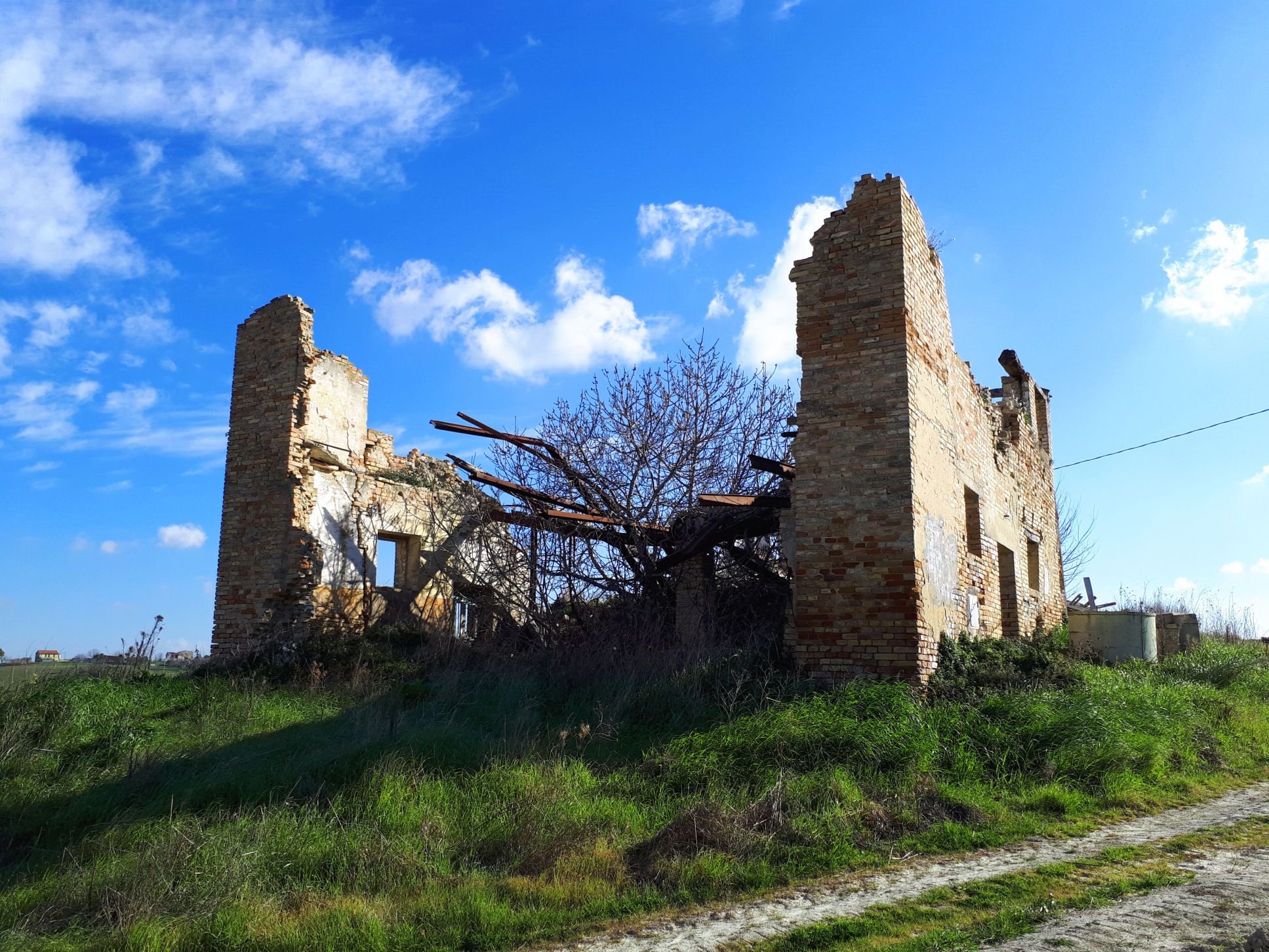 Casale Colonico Rustico in vendita a Appignano del Tronto, Collinare