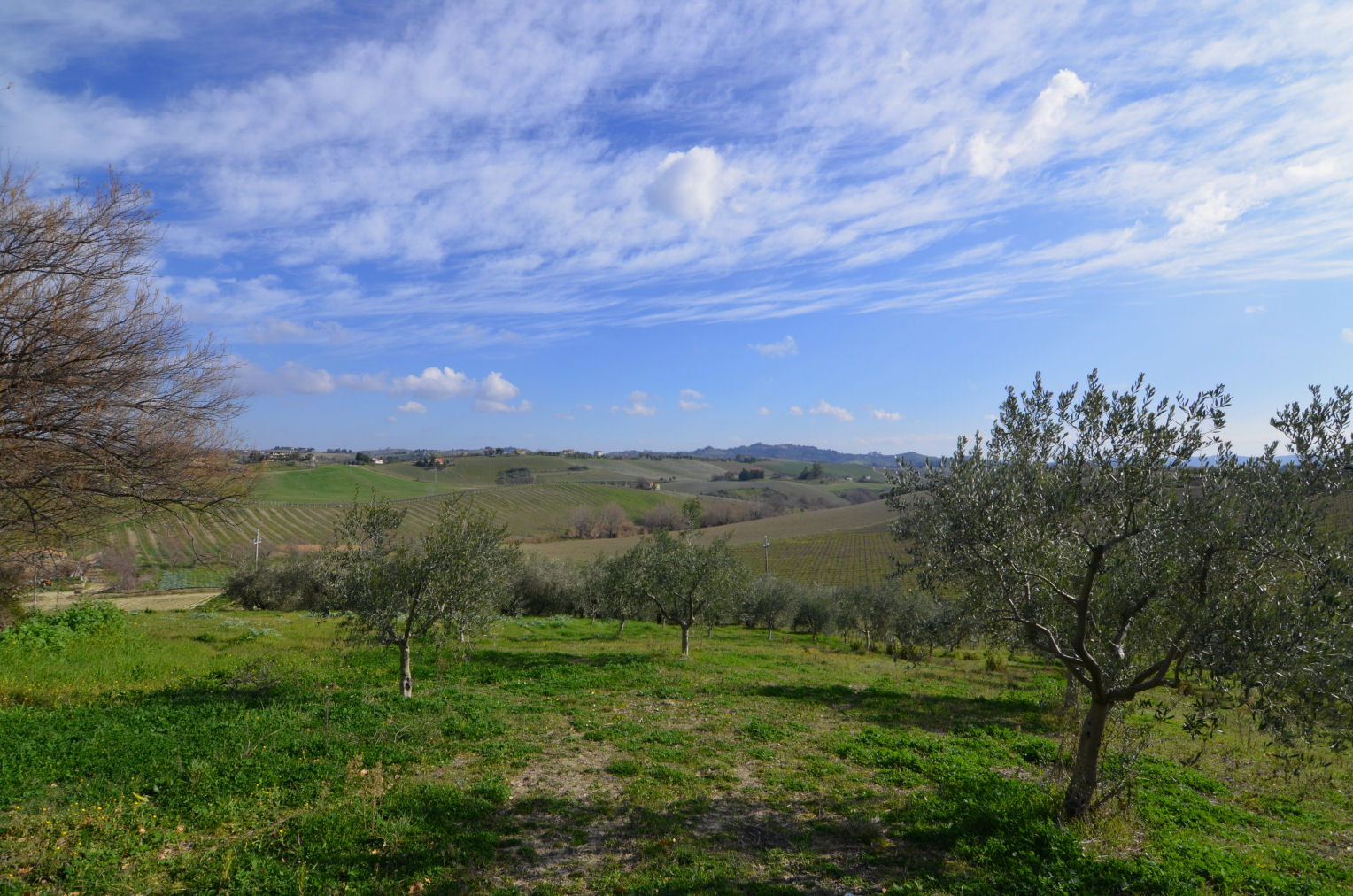 Casale Colonico Rustico in vendita a Appignano del Tronto, Collinare