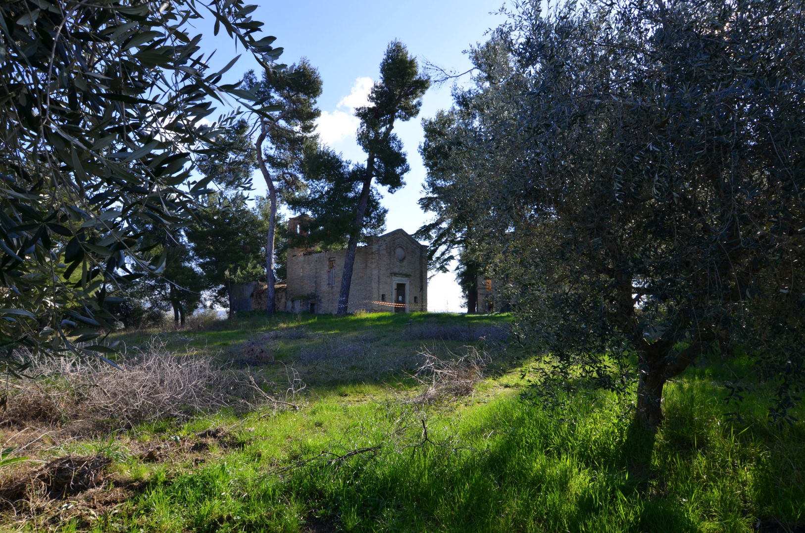 Casale Colonico Rustico in vendita a Appignano del Tronto, Collinare