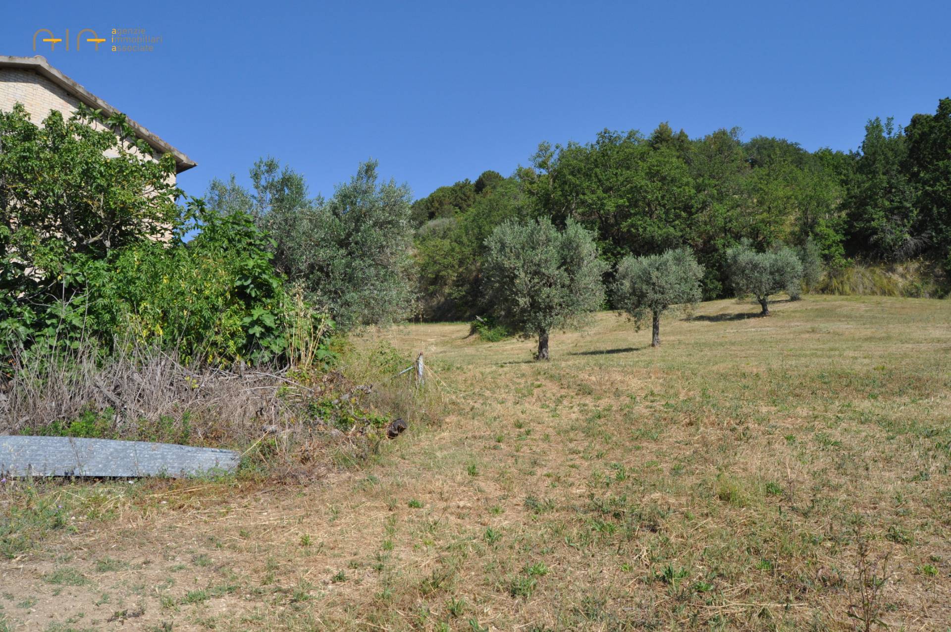 Casale Colonico Rustico in vendita a Cupra Marittima, Collinare (al Di Sopra Della Statale 16)