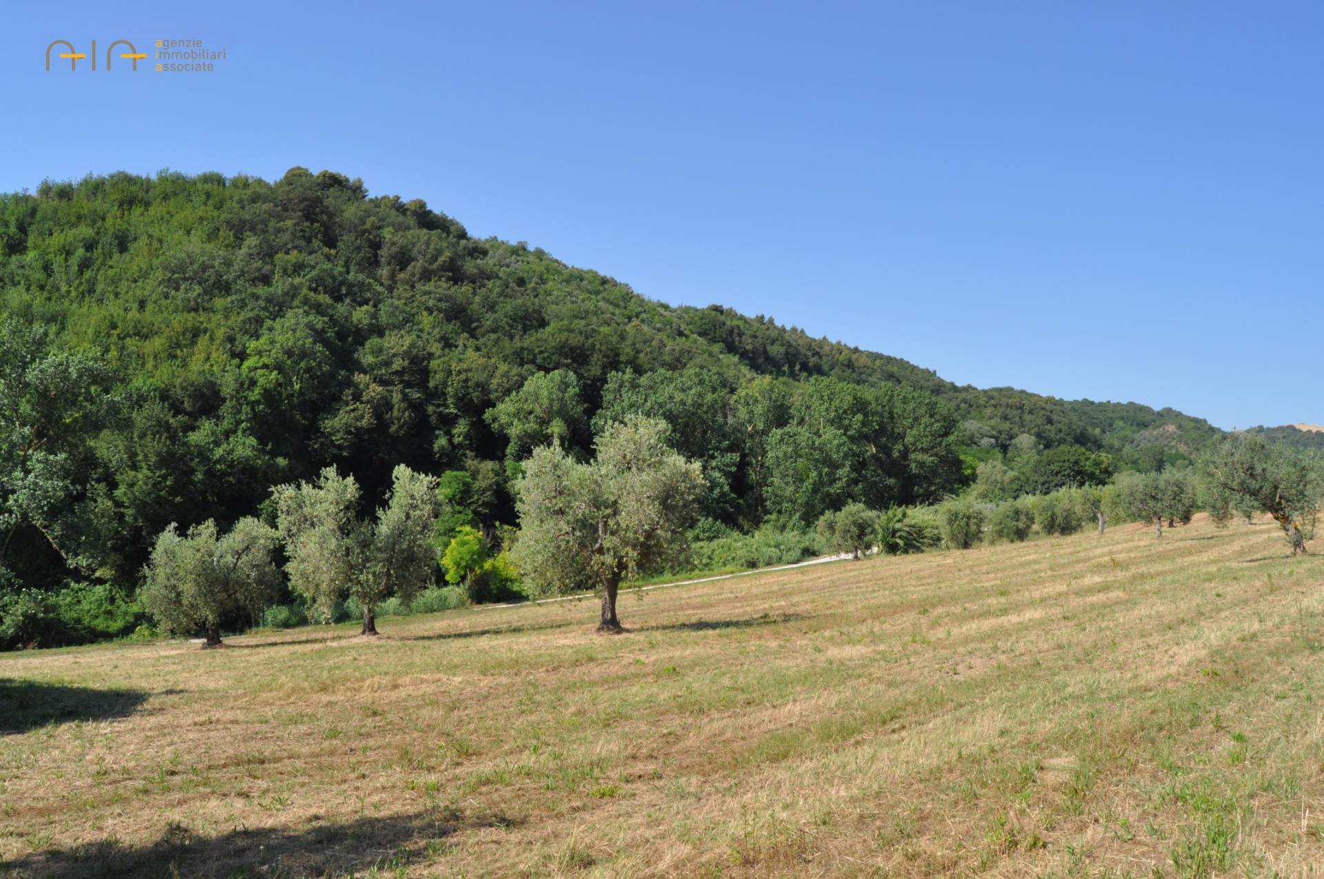 Casale Colonico Rustico in vendita a Cupra Marittima, Collinare (al Di Sopra Della Statale 16)
