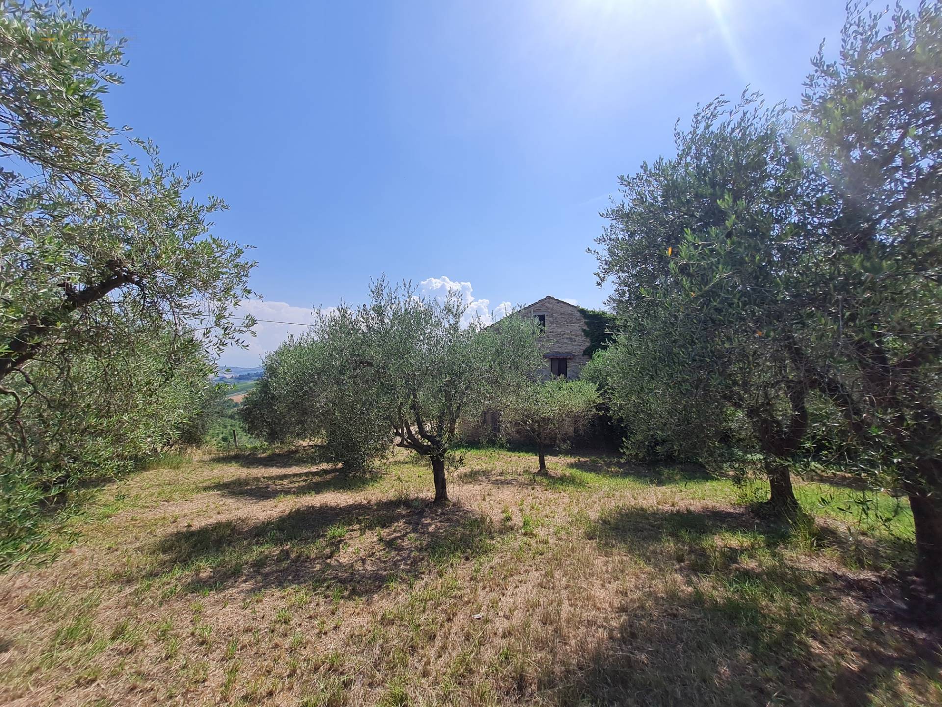 Casale Colonico Rustico in vendita a Castorano, Collinare