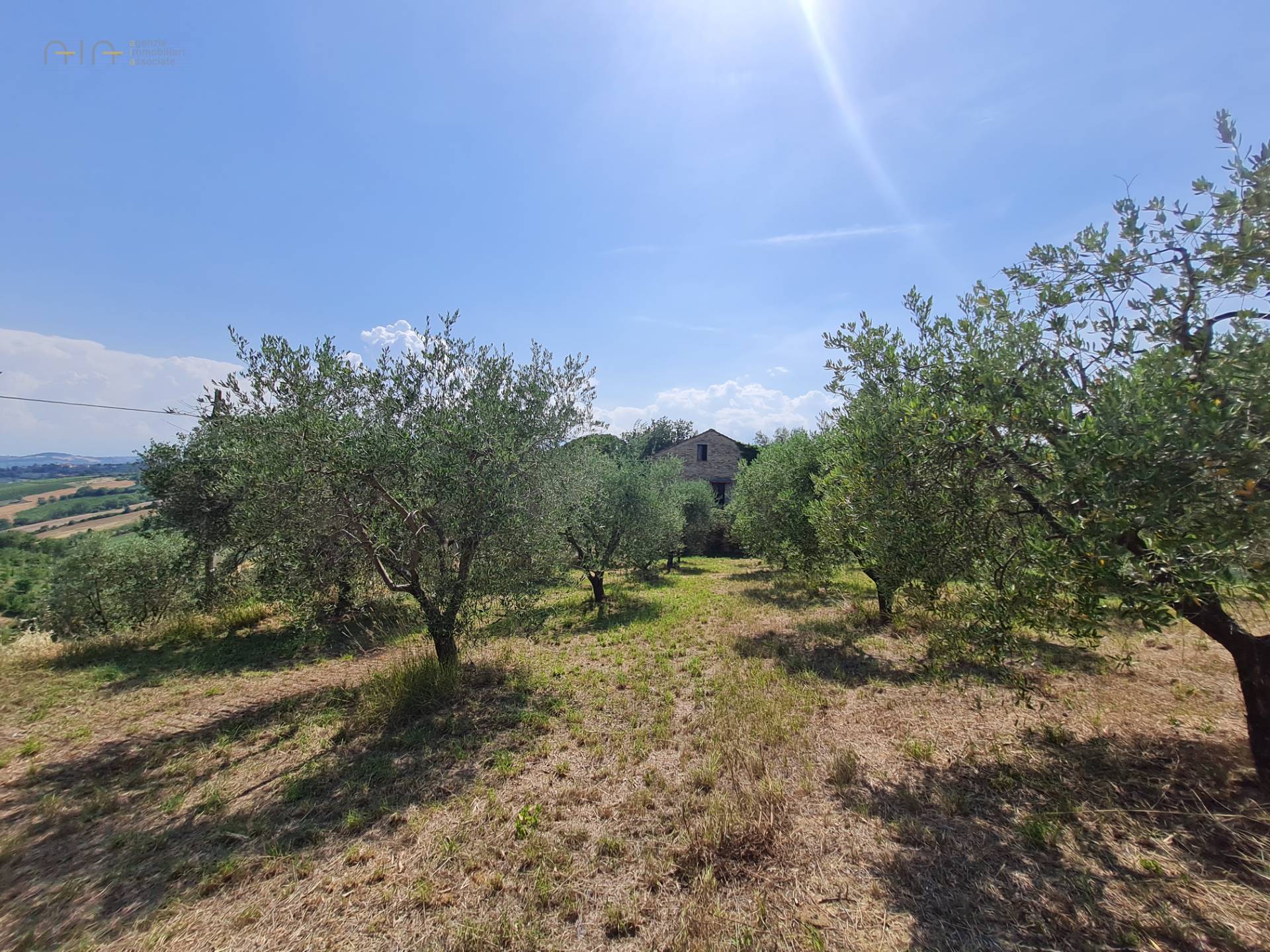 Casale Colonico Rustico in vendita a Castorano, Collinare