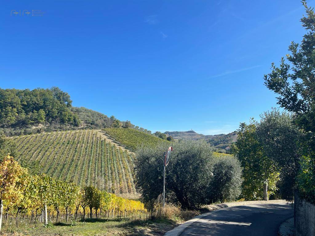 Casale Colonico Rustico in vendita a Ripatransone, Val Tesino