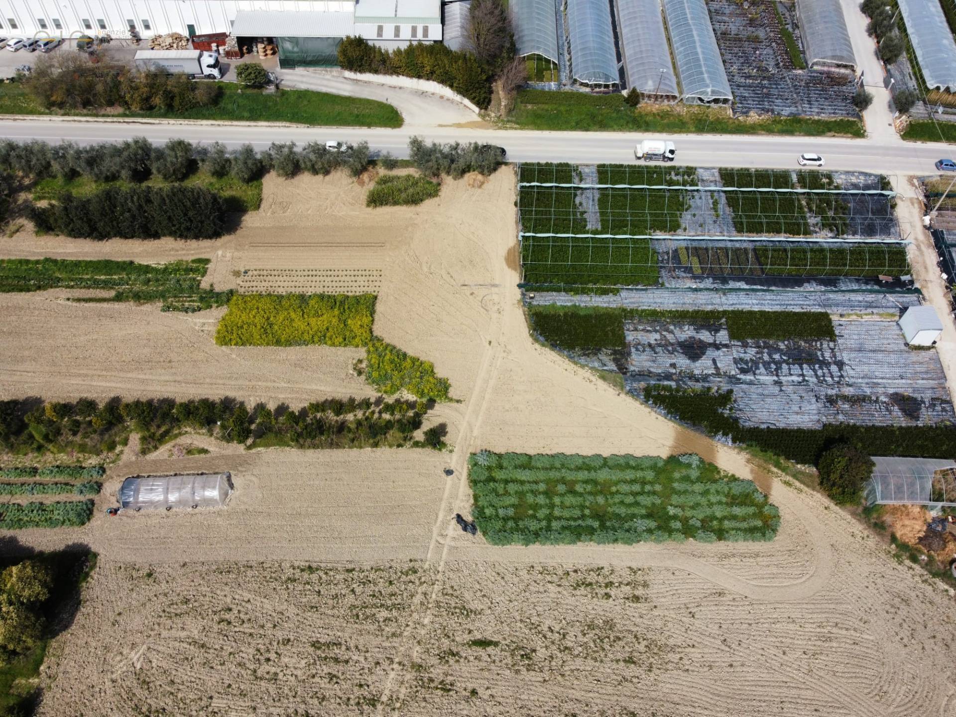 Terreno Agricolo in vendita a Ripatransone, Val Tesino