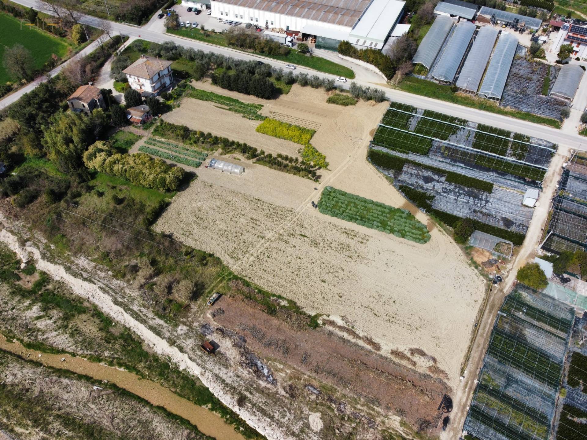 Terreno Agricolo in vendita a Ripatransone, Val Tesino