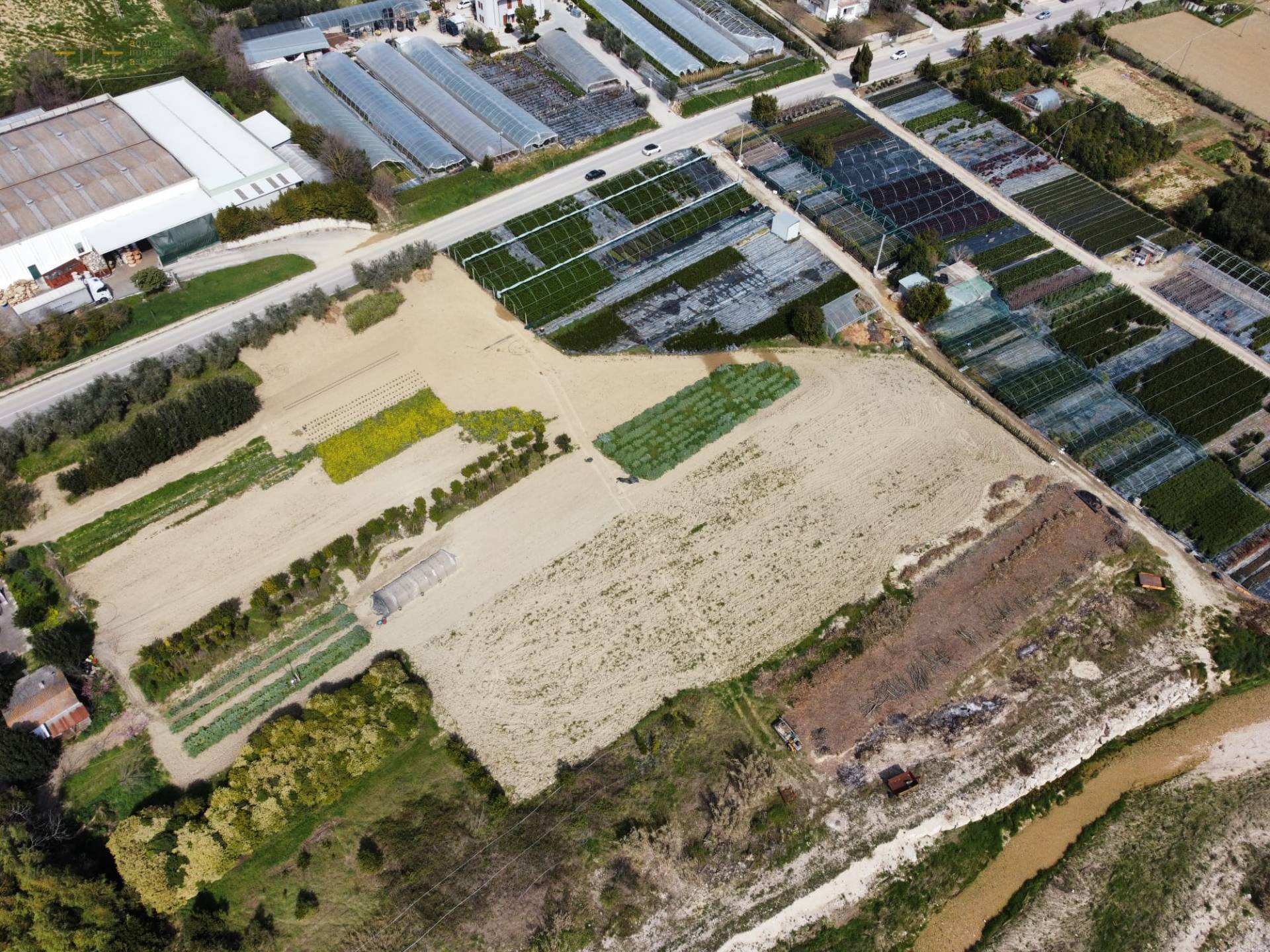 Terreno Agricolo in vendita a Ripatransone, Val Tesino