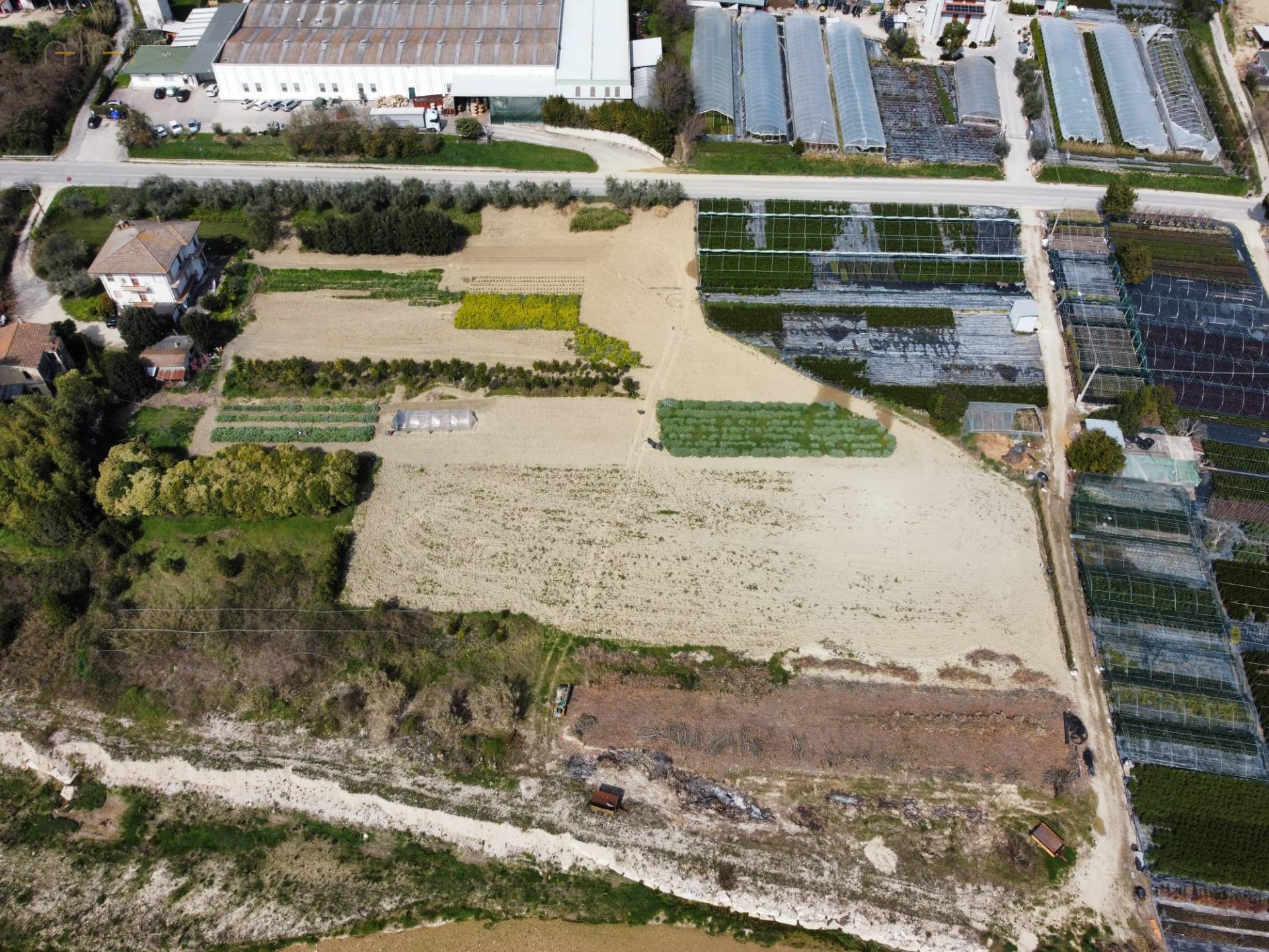 Terreno Agricolo in vendita a Ripatransone, Val Tesino
