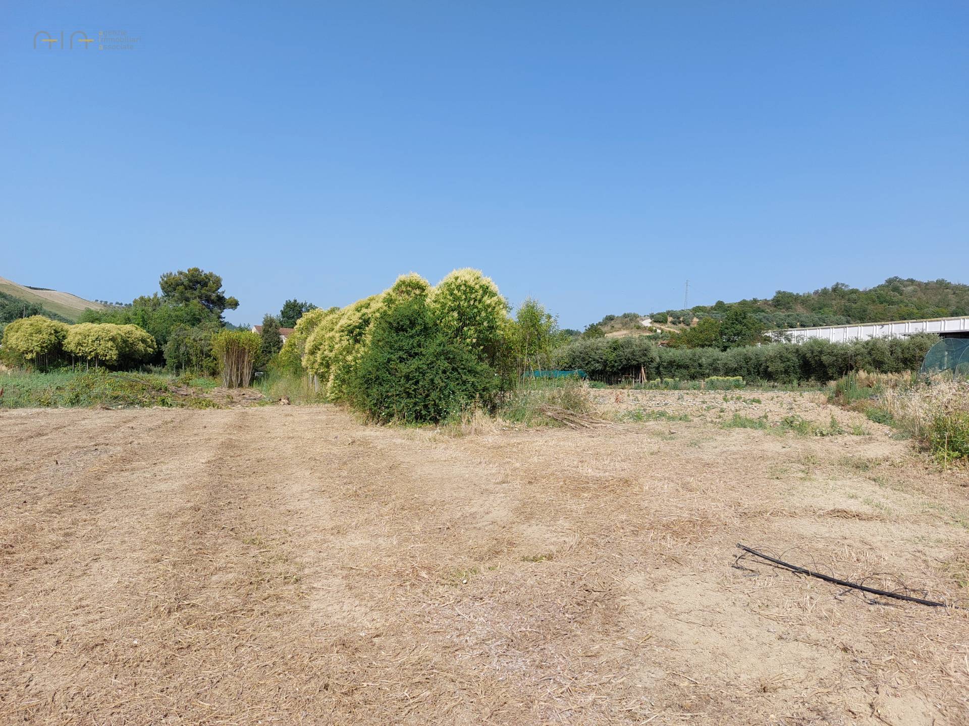 Terreno Agricolo in vendita a Ripatransone, Val Tesino