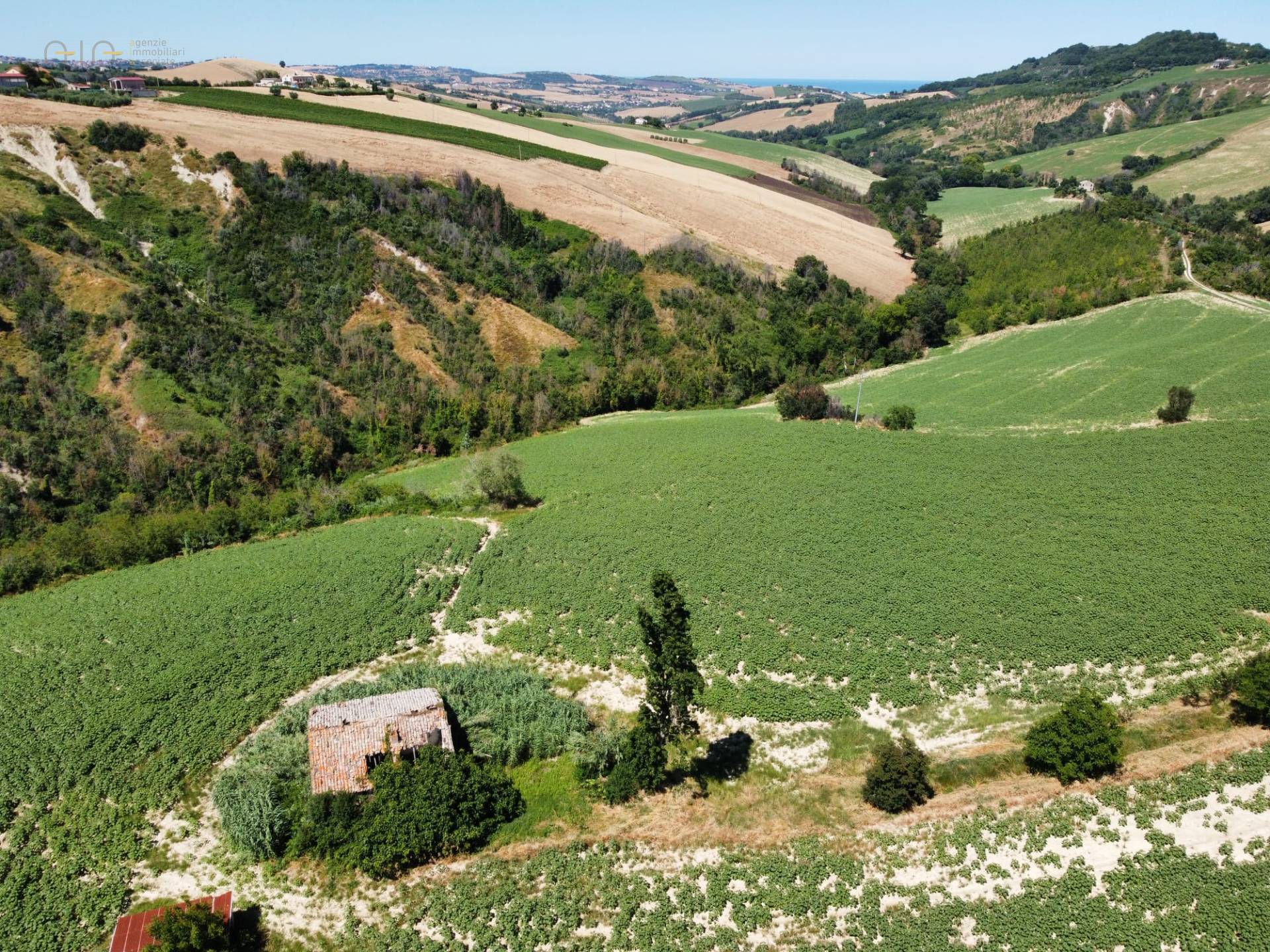 Casale Colonico Rustico in vendita a Monterubbiano, Collinare