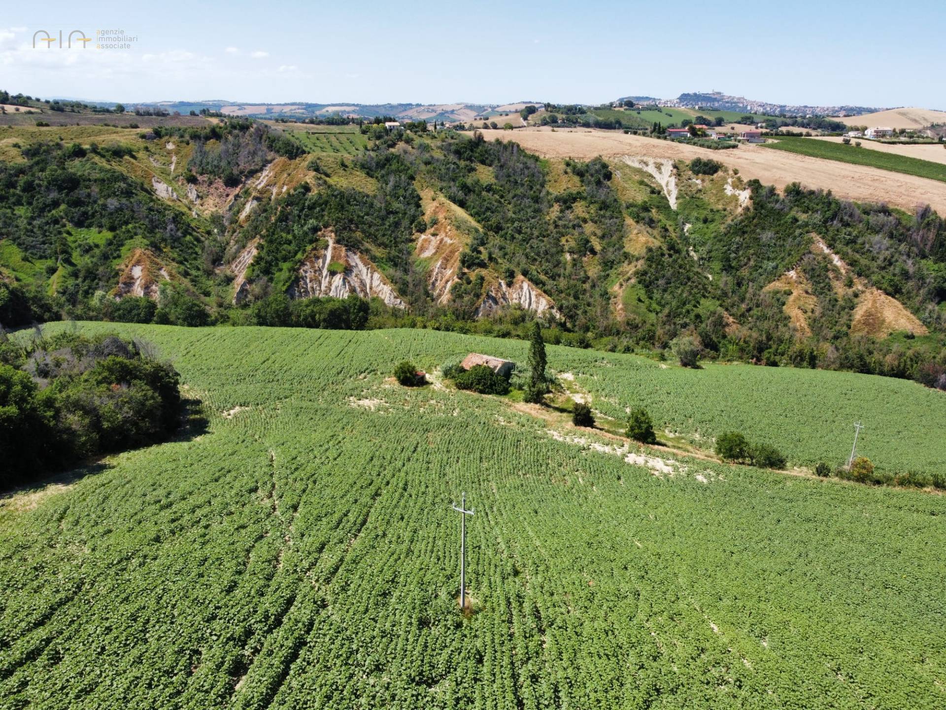 Casale Colonico Rustico in vendita a Monterubbiano, Collinare
