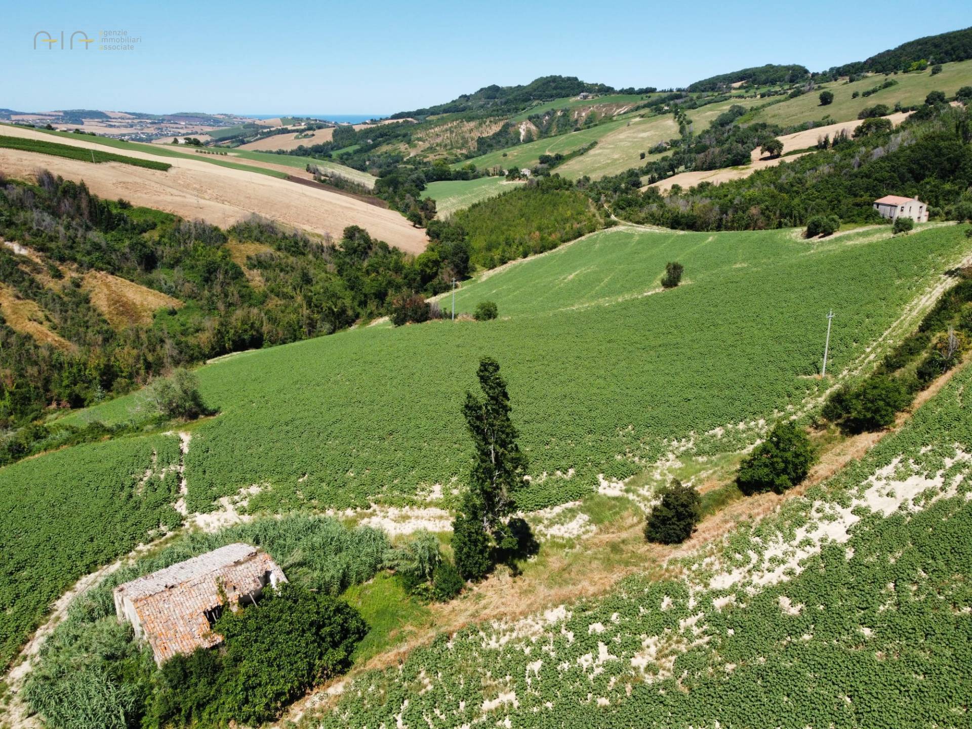 Casale Colonico Rustico in vendita a Monterubbiano, Collinare