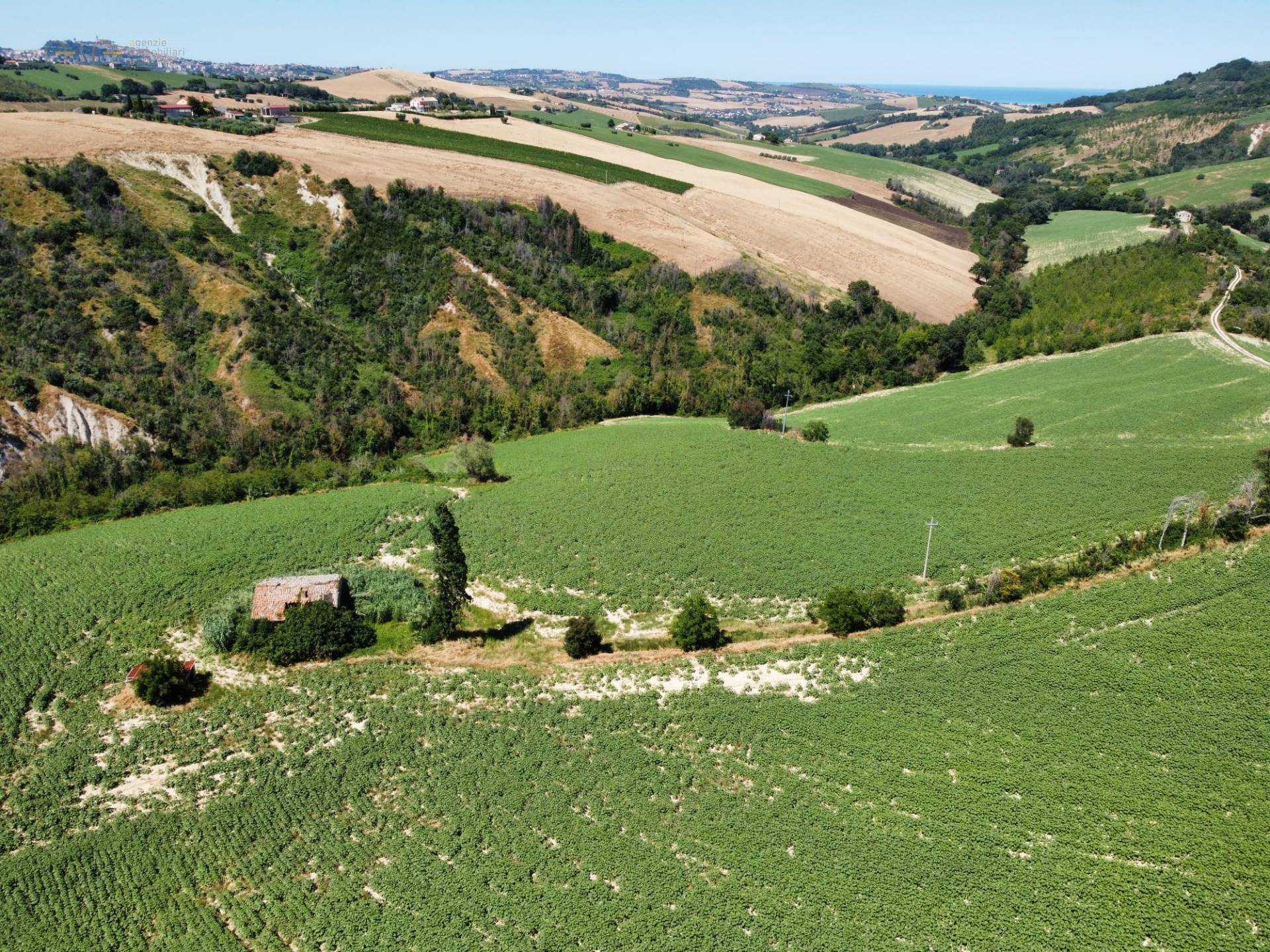 Casale Colonico Rustico in vendita a Monterubbiano, Collinare