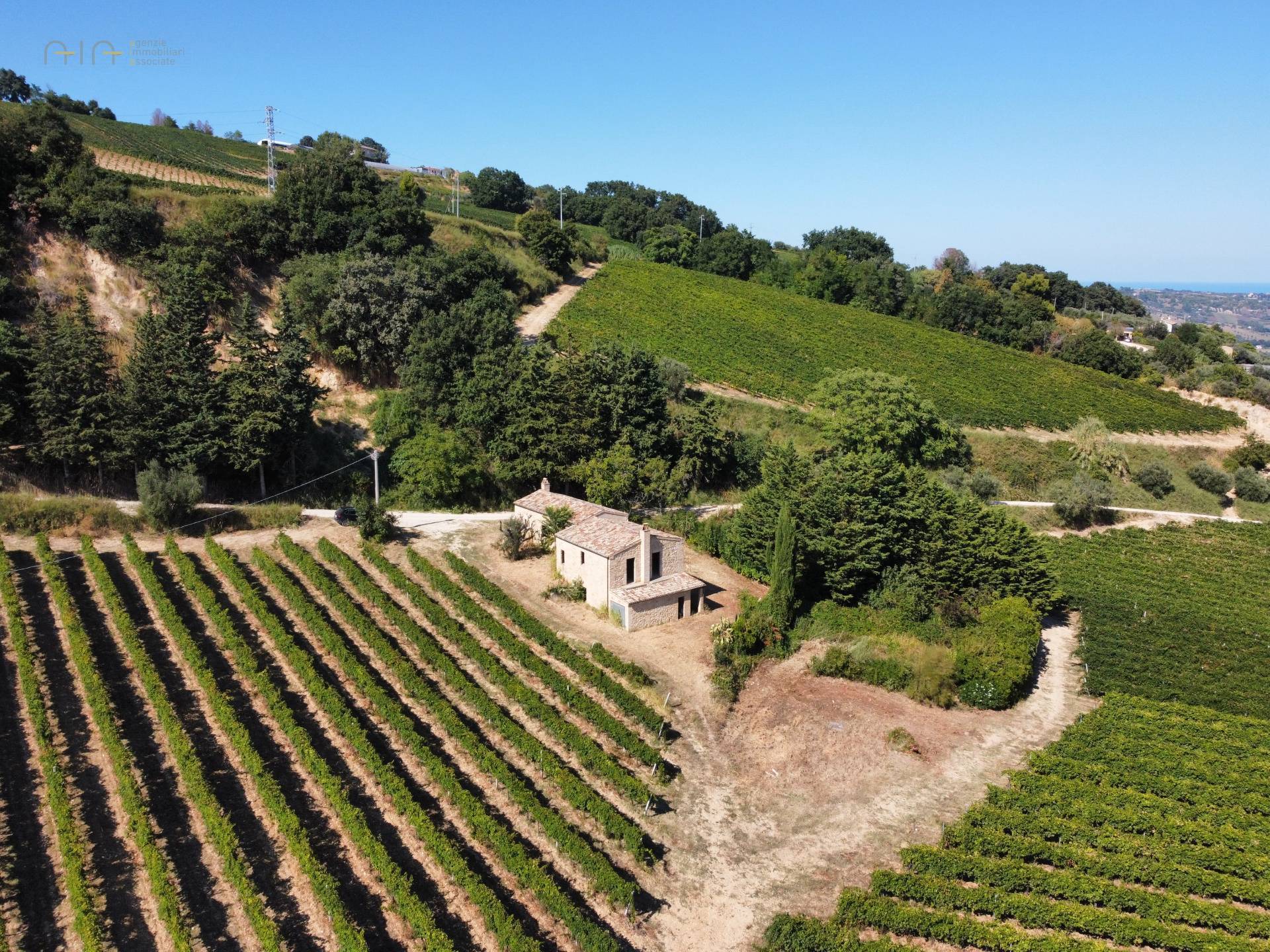 Casale Colonico Rustico in vendita a Ripatransone, Collinare