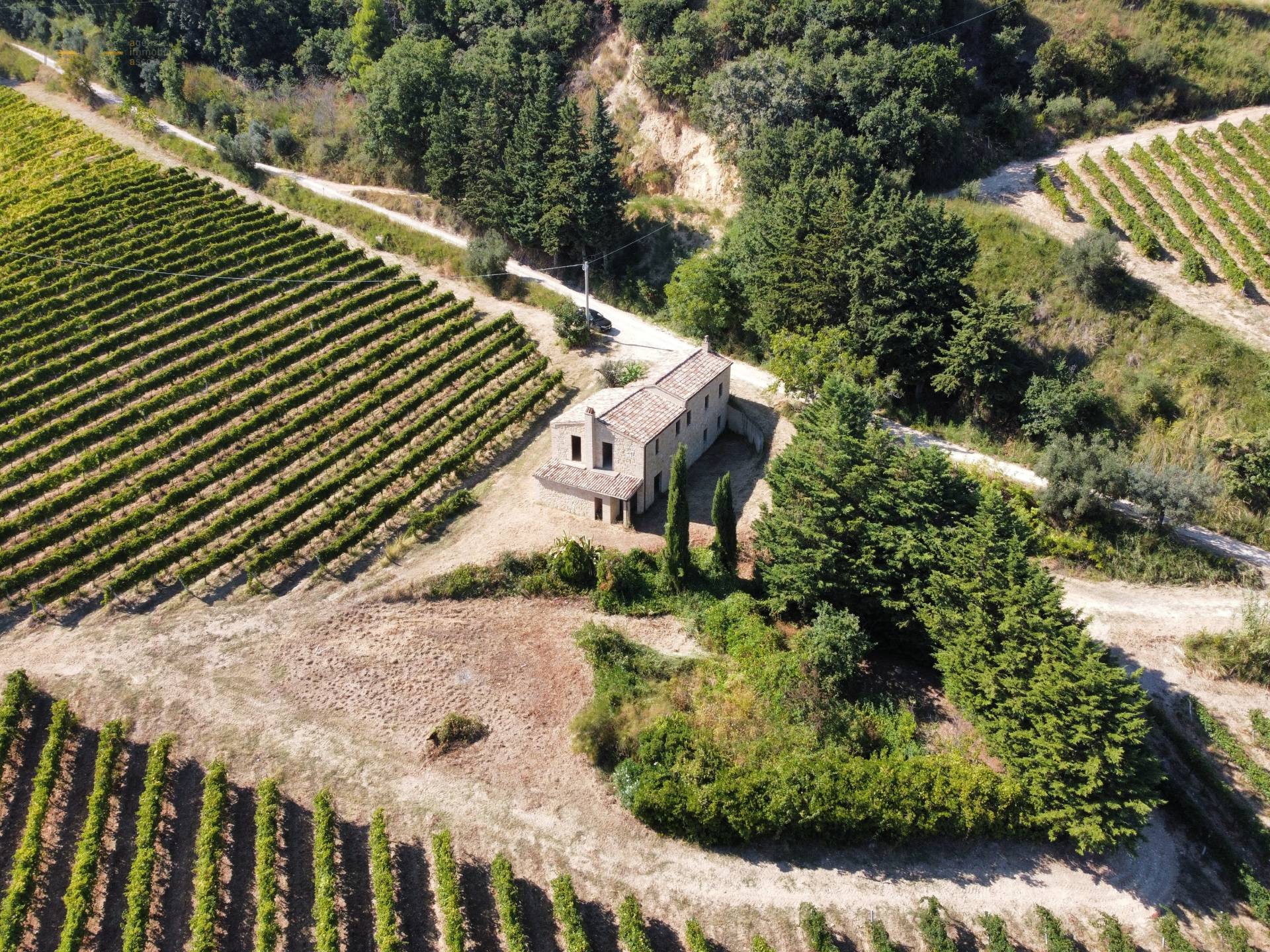 Casale Colonico Rustico in vendita a Ripatransone, Collinare