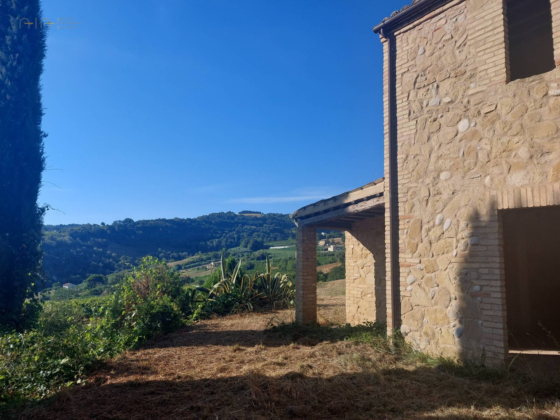 Casale Colonico Rustico in vendita a Ripatransone, Collinare