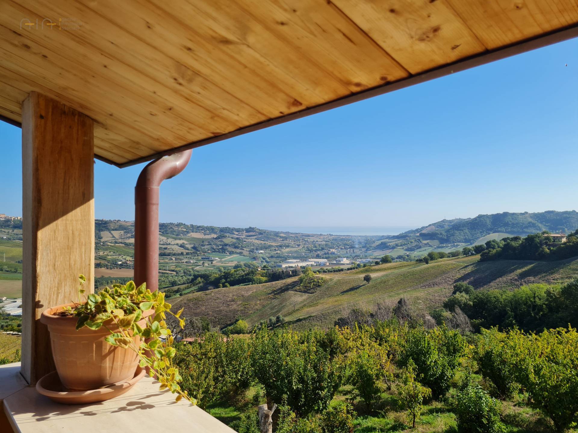 Casale Colonico Rustico in vendita a Ripatransone, Collinare