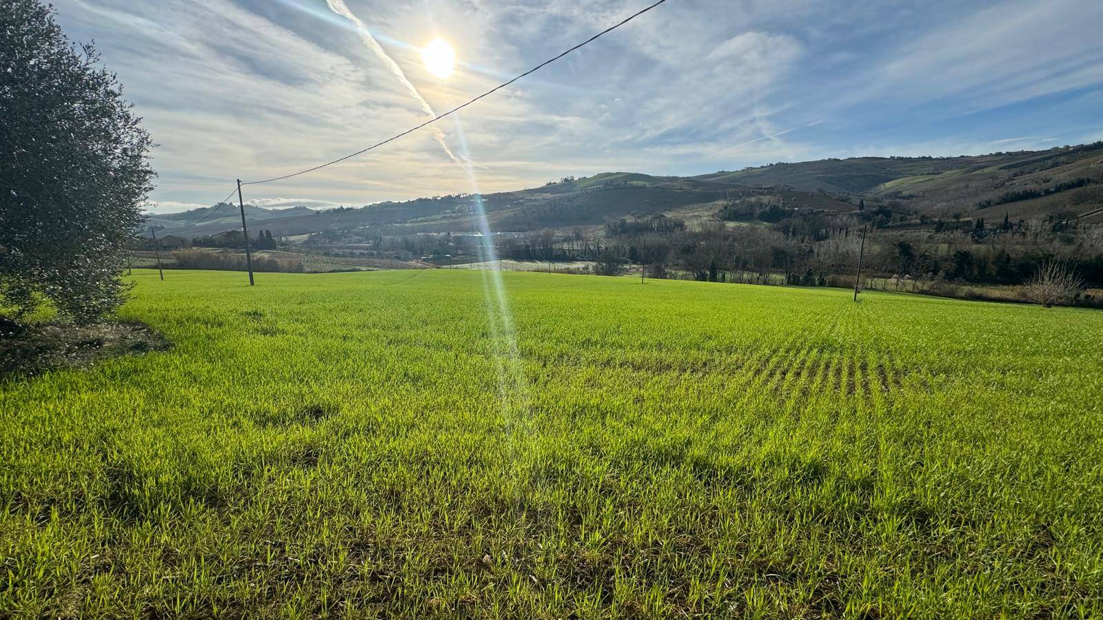 Terreno Agricolo (con / Senza Piccolo Prefabbricato) in vendita a Offida, Santa Maria Goretti (val T