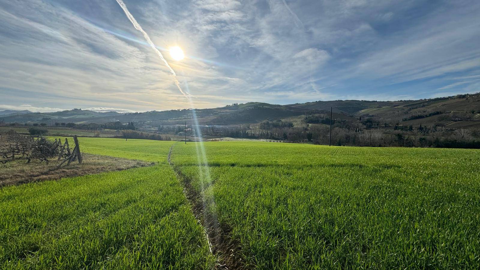 Terreno Agricolo (con / Senza Piccolo Prefabbricato) in vendita a Offida, Santa Maria Goretti (val T