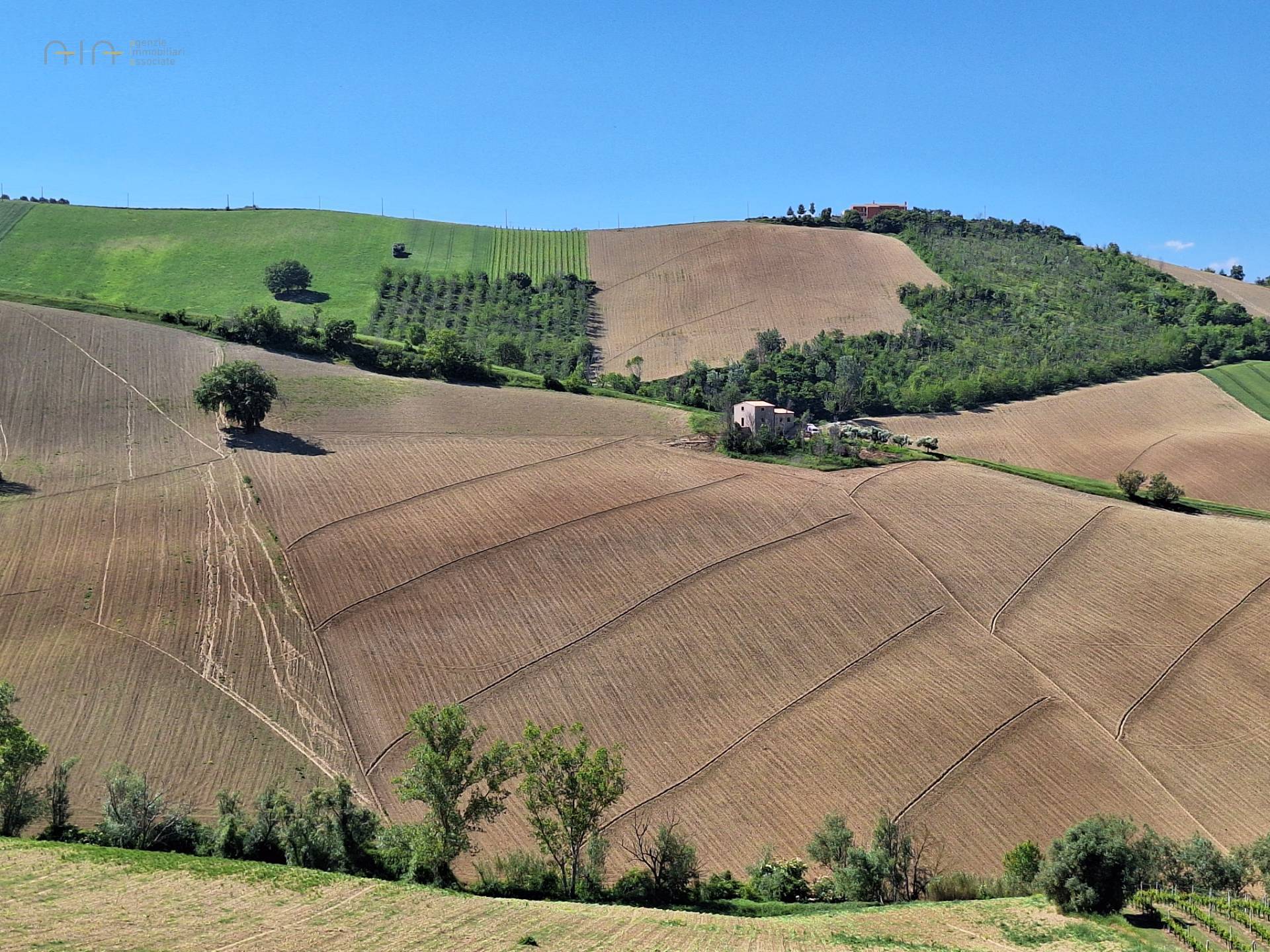 Terreno Agricolo in vendita a Ripatransone, Collinare