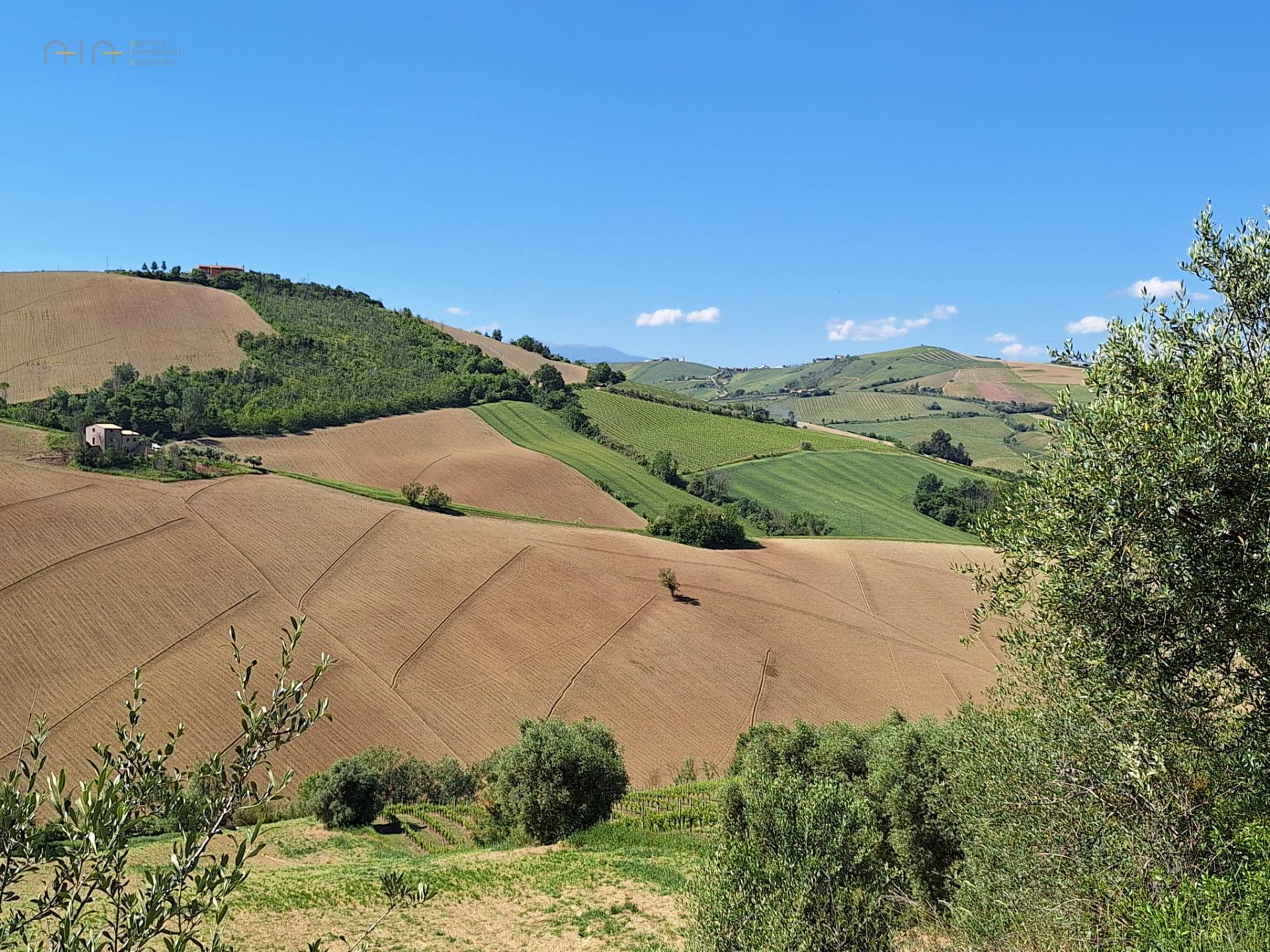 Terreno Agricolo in vendita a Ripatransone, Collinare