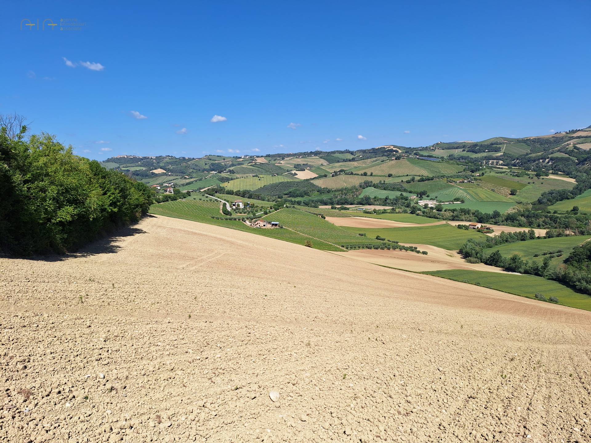 Terreno Agricolo in vendita a Ripatransone, Collinare