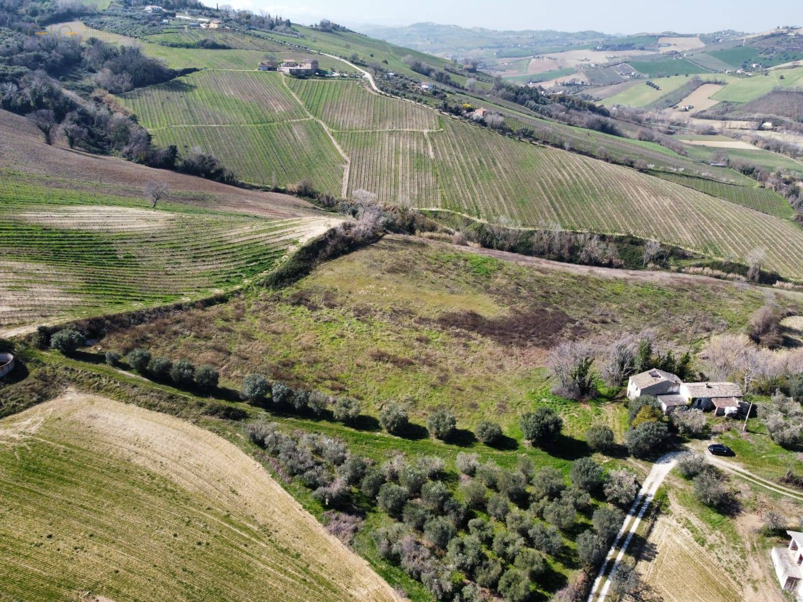 Terreno Agricolo in vendita a Ripatransone, Collinare
