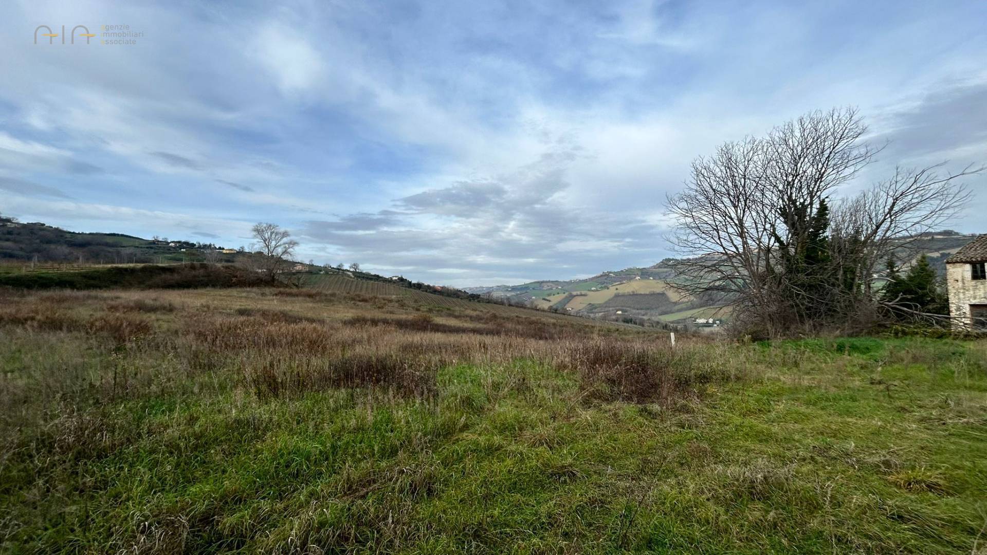 Terreno Agricolo in vendita a Ripatransone, Collinare