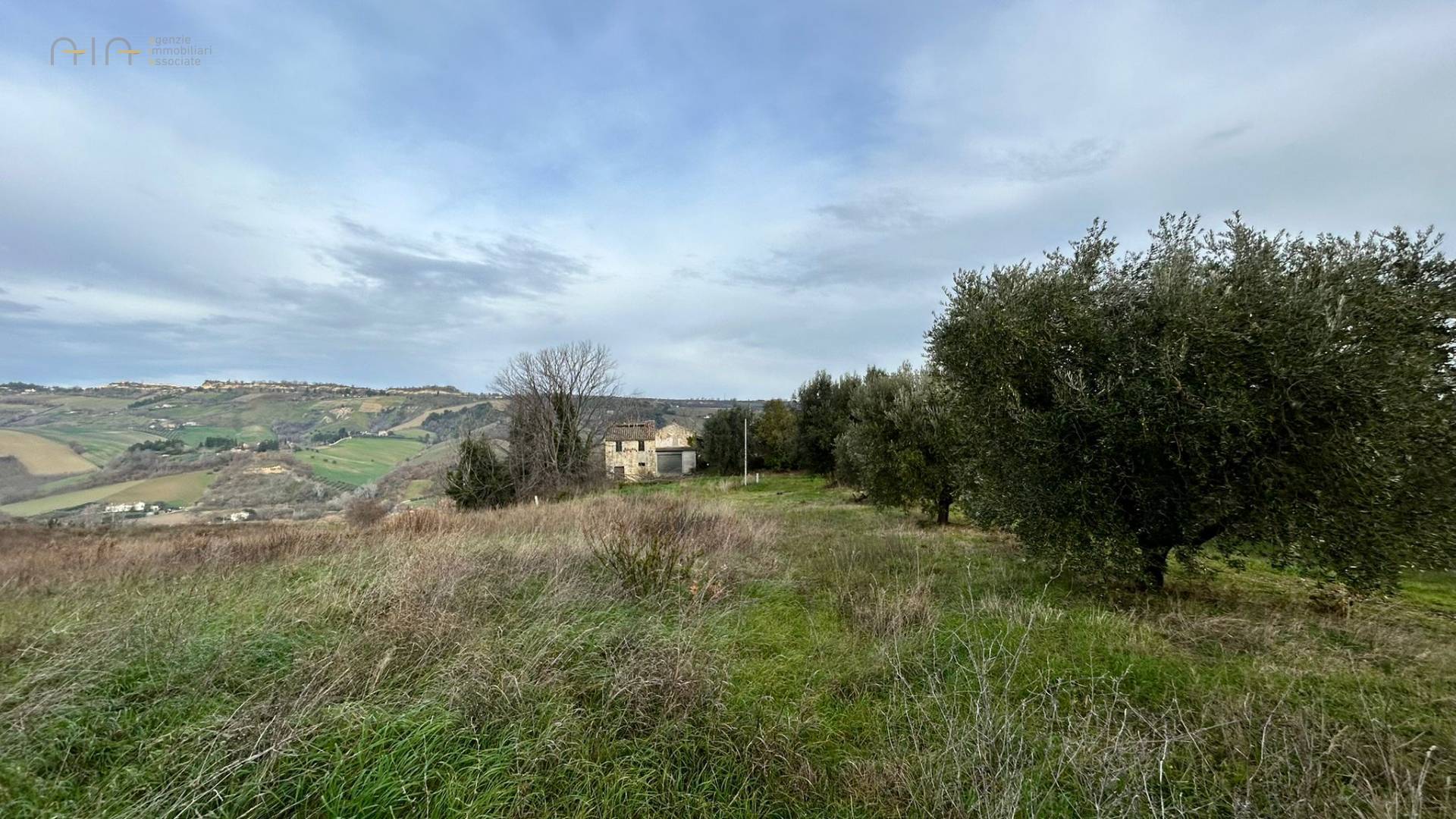 Terreno Agricolo in vendita a Ripatransone, Collinare