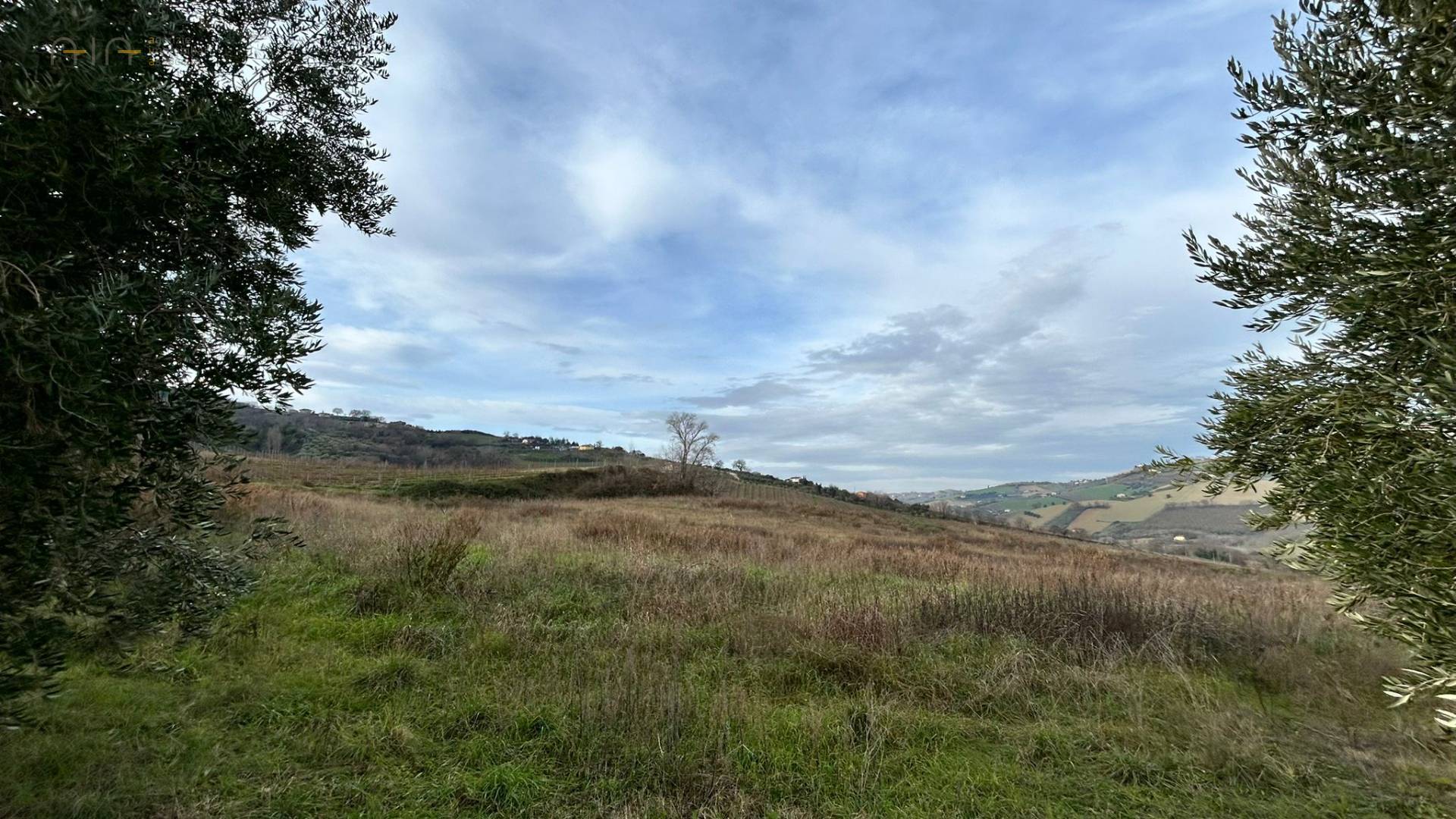 Terreno Agricolo in vendita a Ripatransone, Collinare