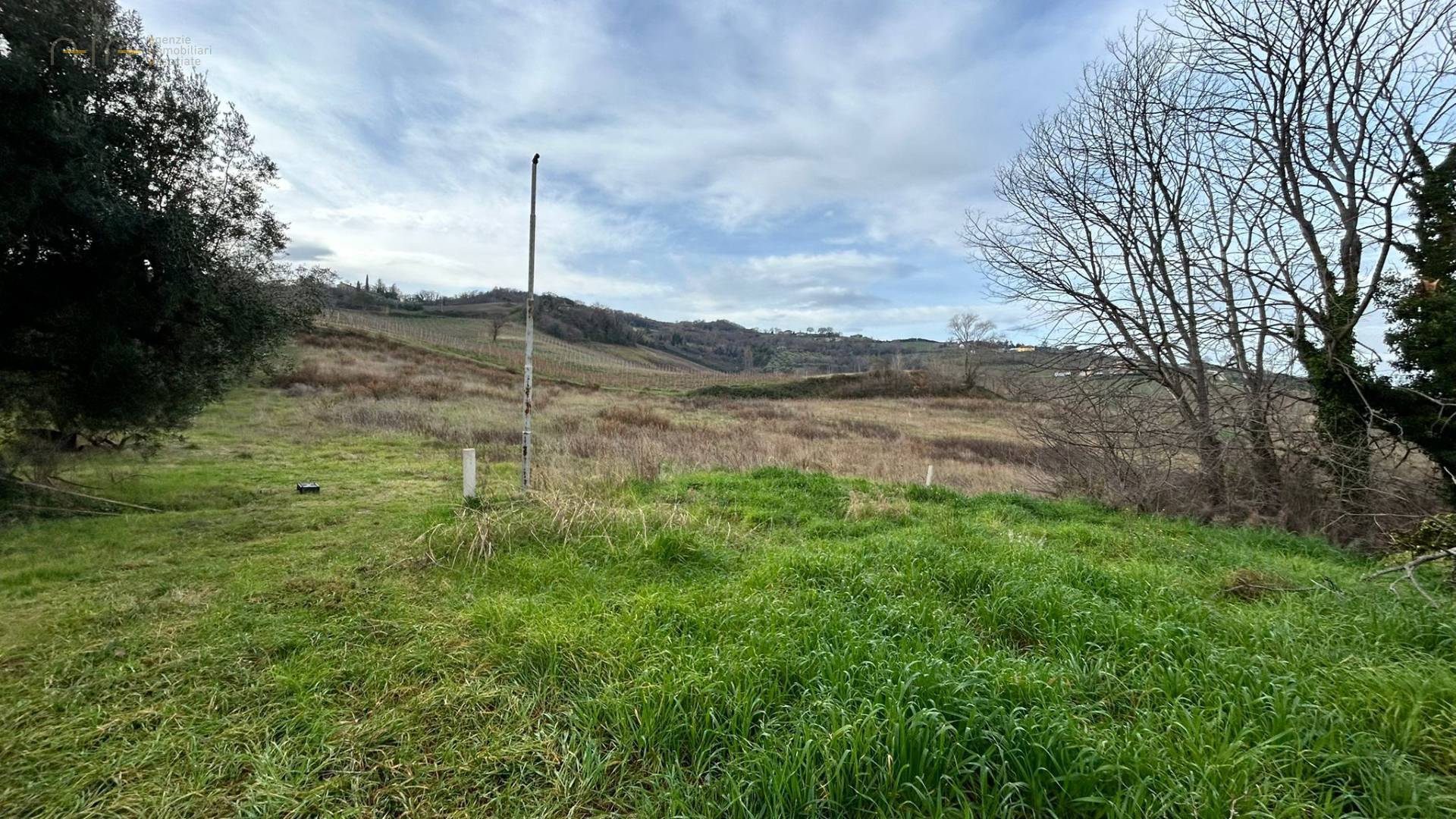 Terreno Agricolo in vendita a Ripatransone, Collinare