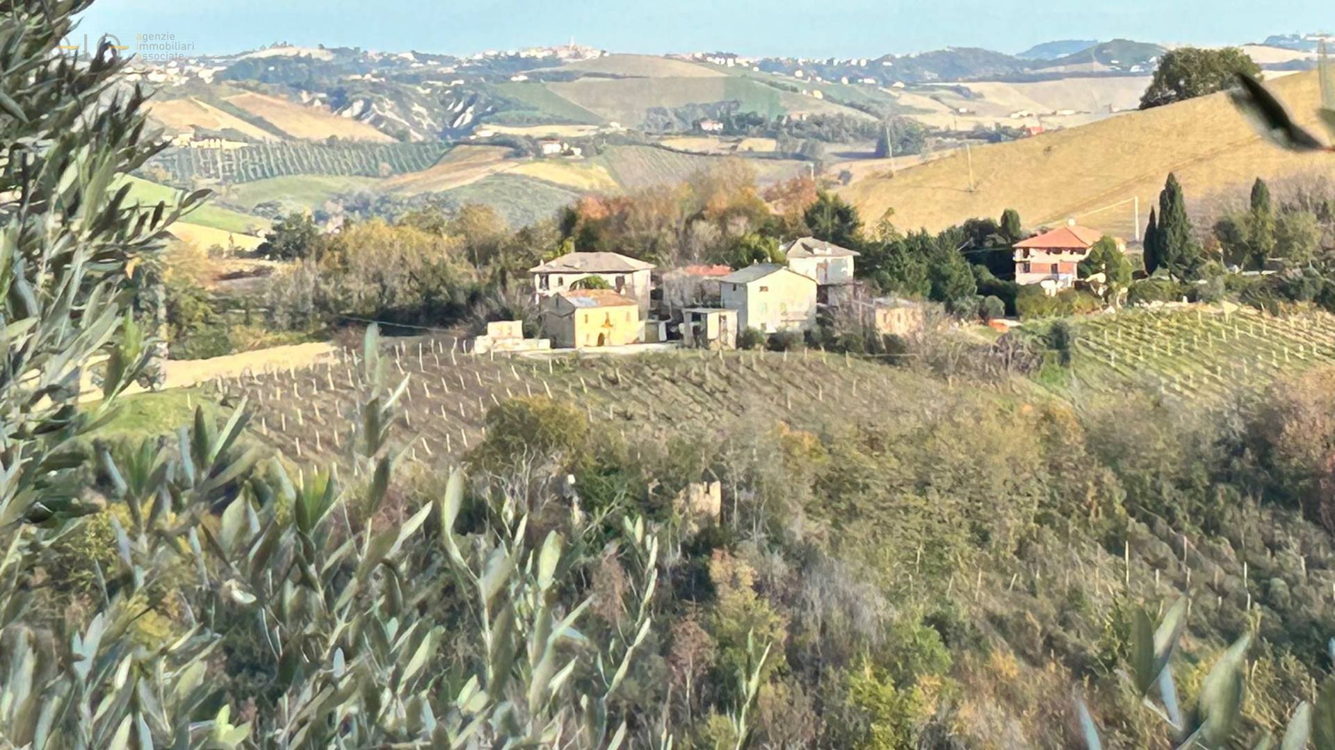 Casale Colonico Rustico in vendita a Castignano, Collinare