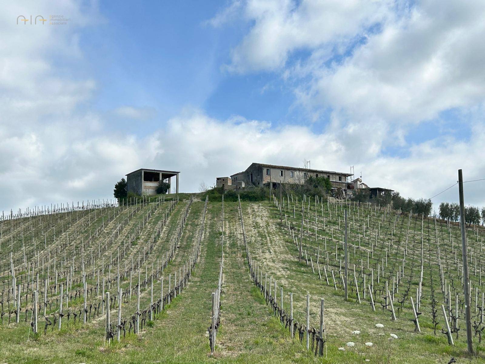 Casale Colonico Rustico in vendita a Castignano, Collinare