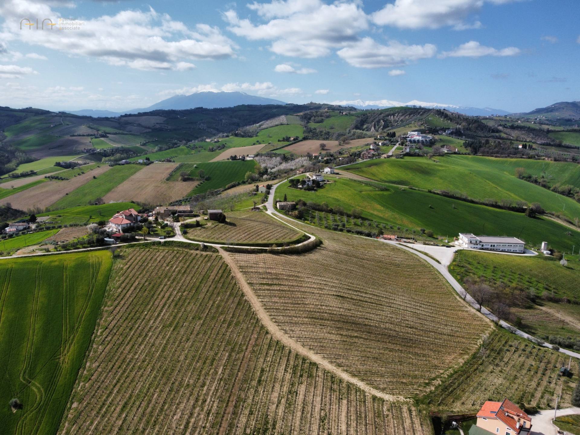 Casale Colonico Rustico in vendita a Castignano, Collinare