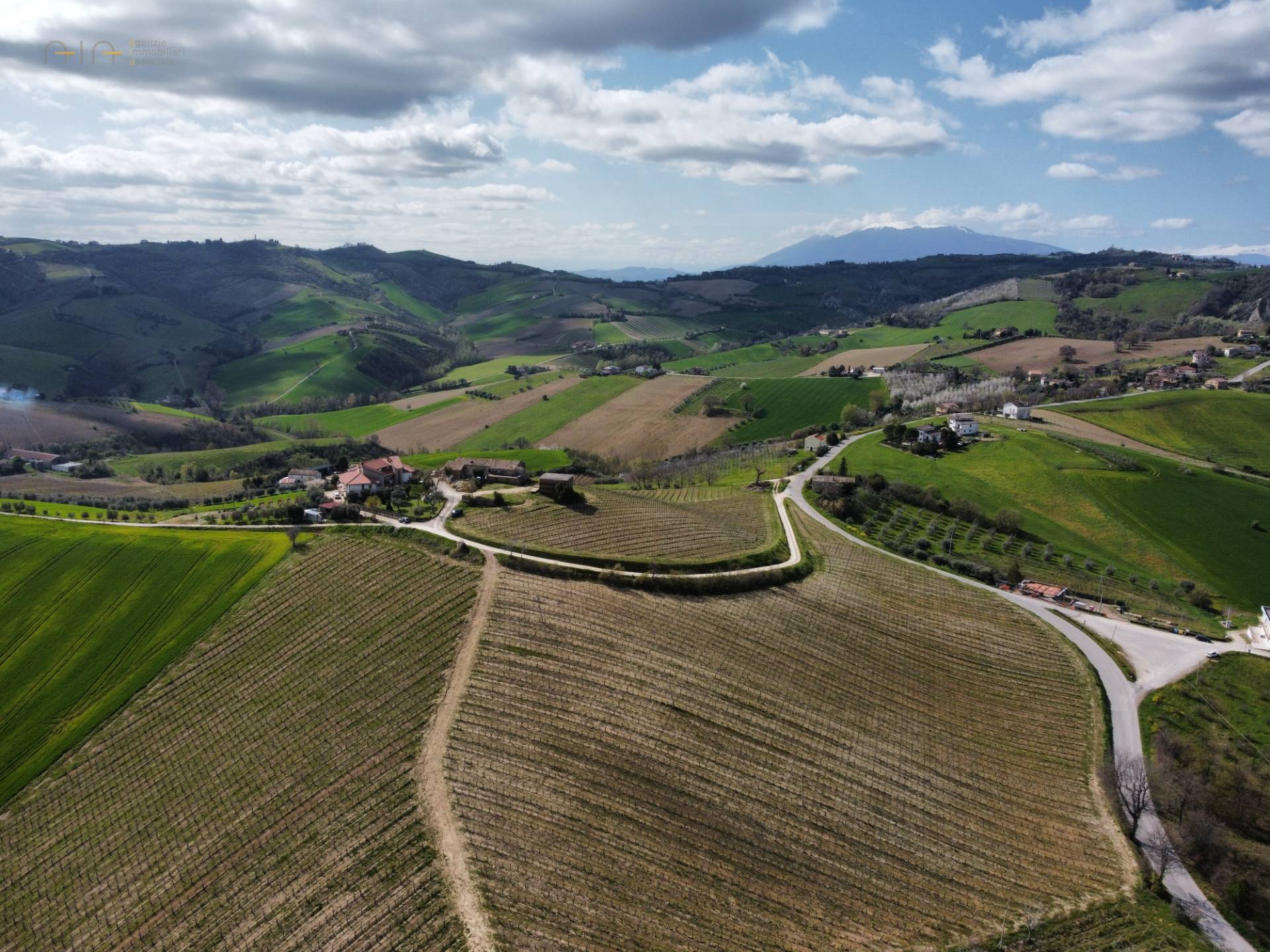Casale Colonico Rustico in vendita a Castignano, Collinare