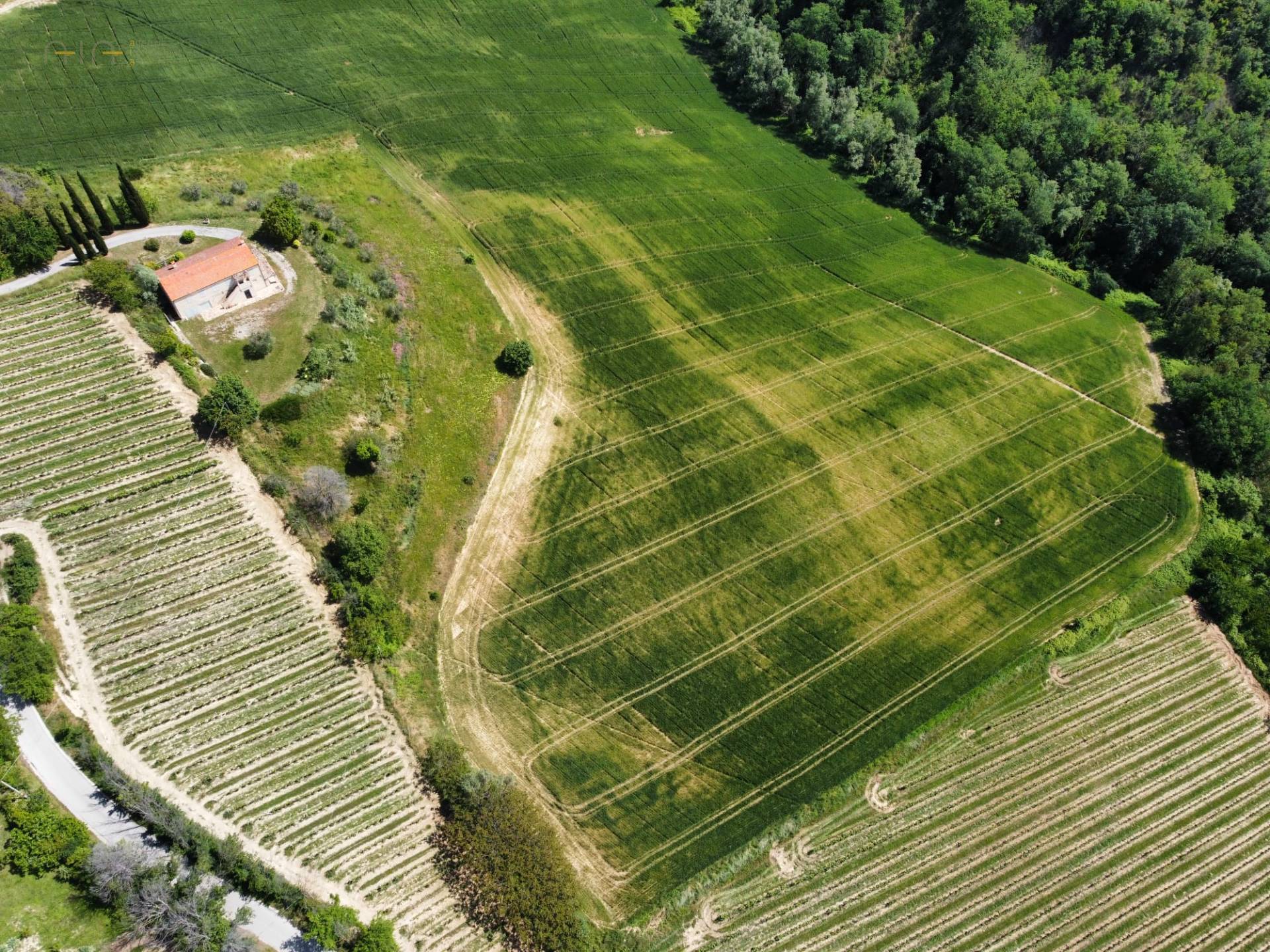 Terreno Agricolo in vendita a Ripatransone, Val Tesino