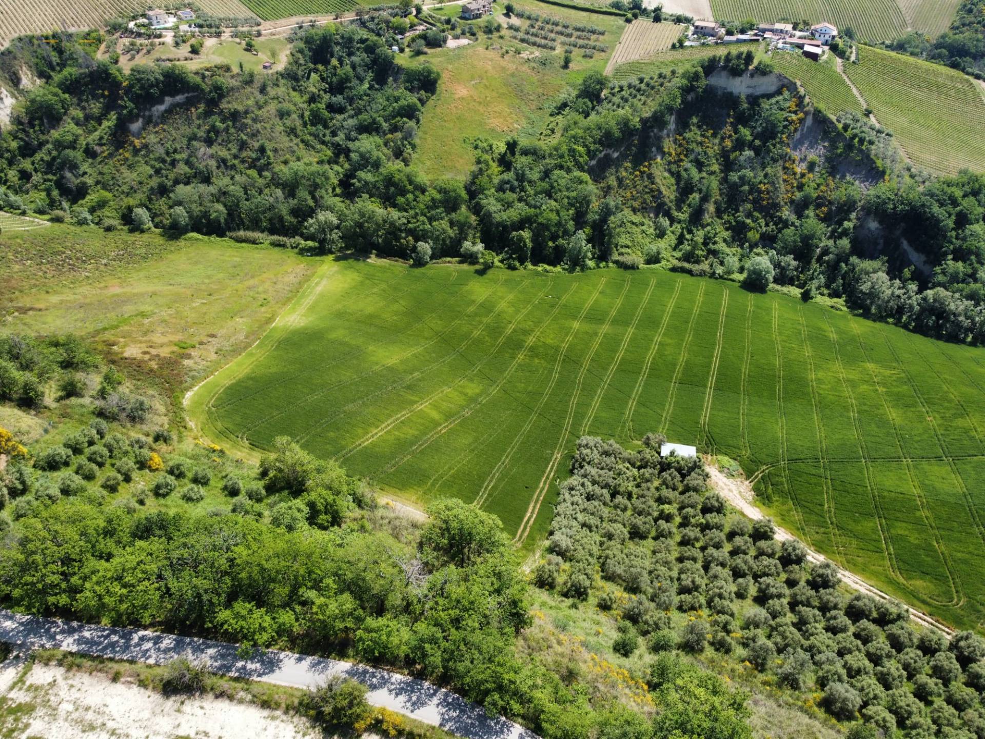 Terreno Agricolo in vendita a Ripatransone, Val Tesino