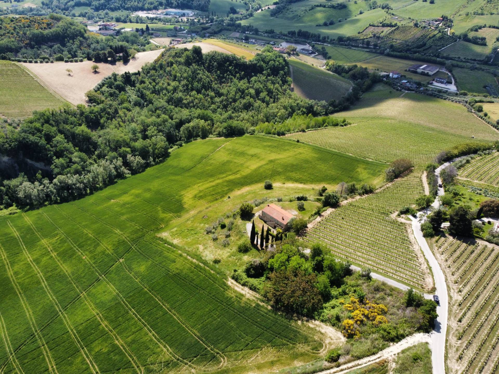 Terreno Agricolo in vendita a Ripatransone, Val Tesino