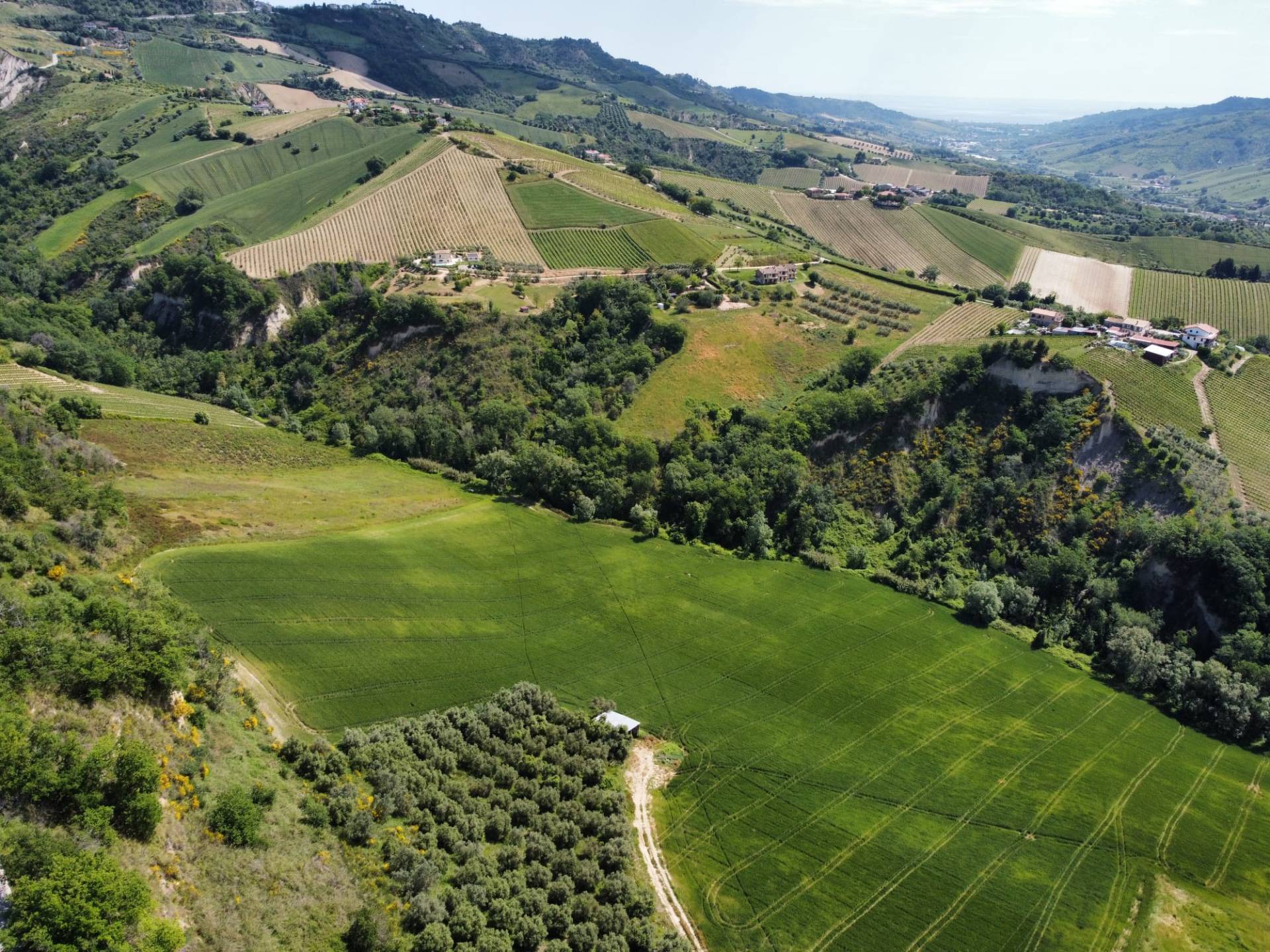 Terreno Agricolo in vendita a Ripatransone, Val Tesino