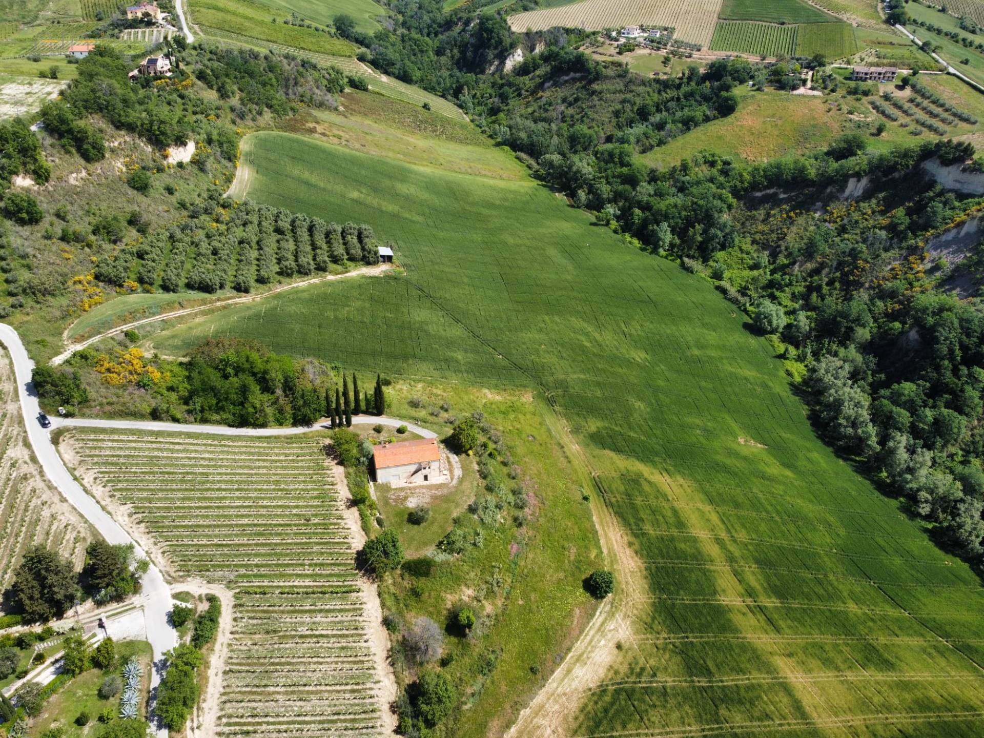 Terreno Agricolo in vendita a Ripatransone, Val Tesino