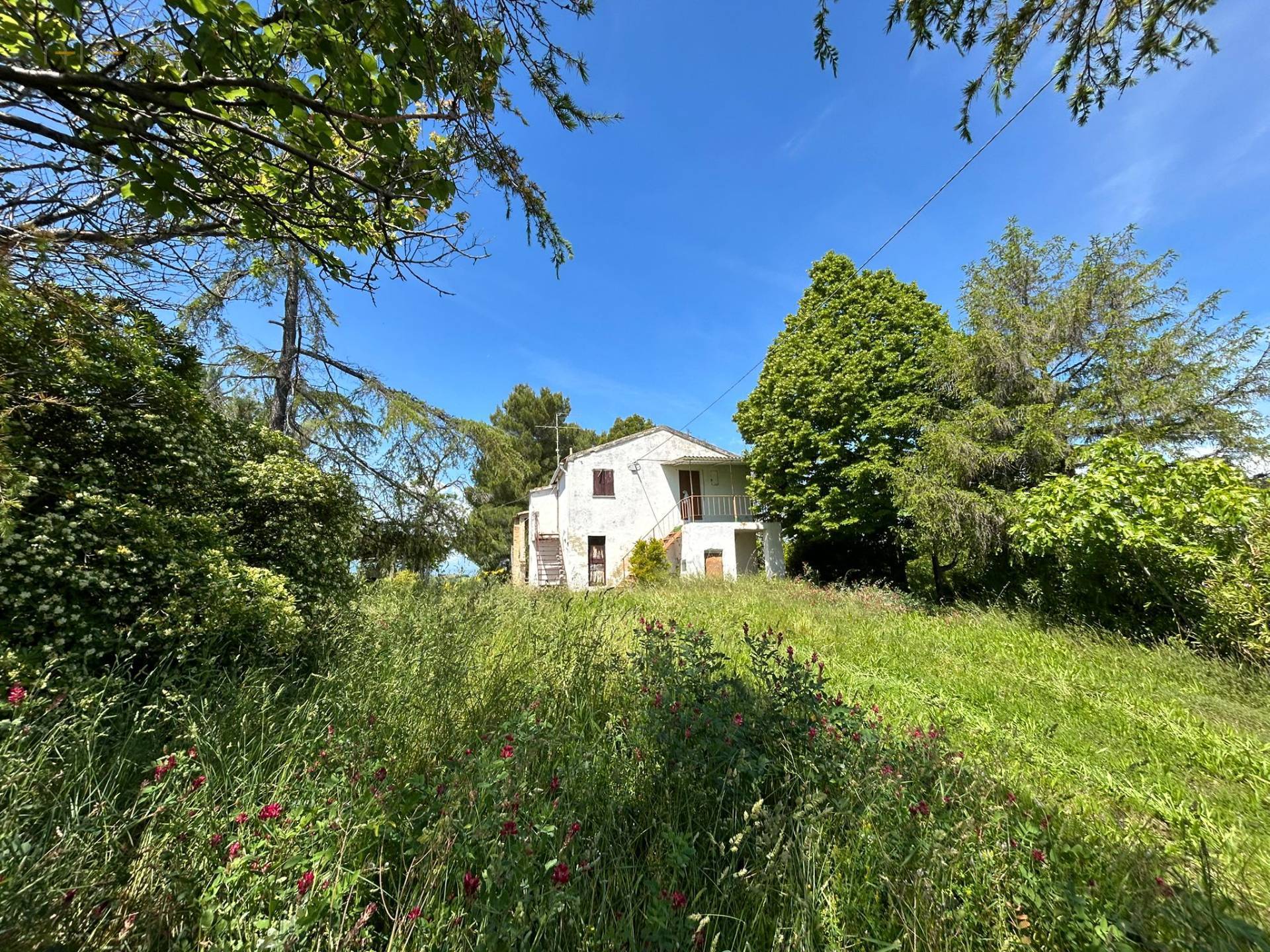 Casale Colonico Rustico in vendita a Ripatransone, Val Tesino