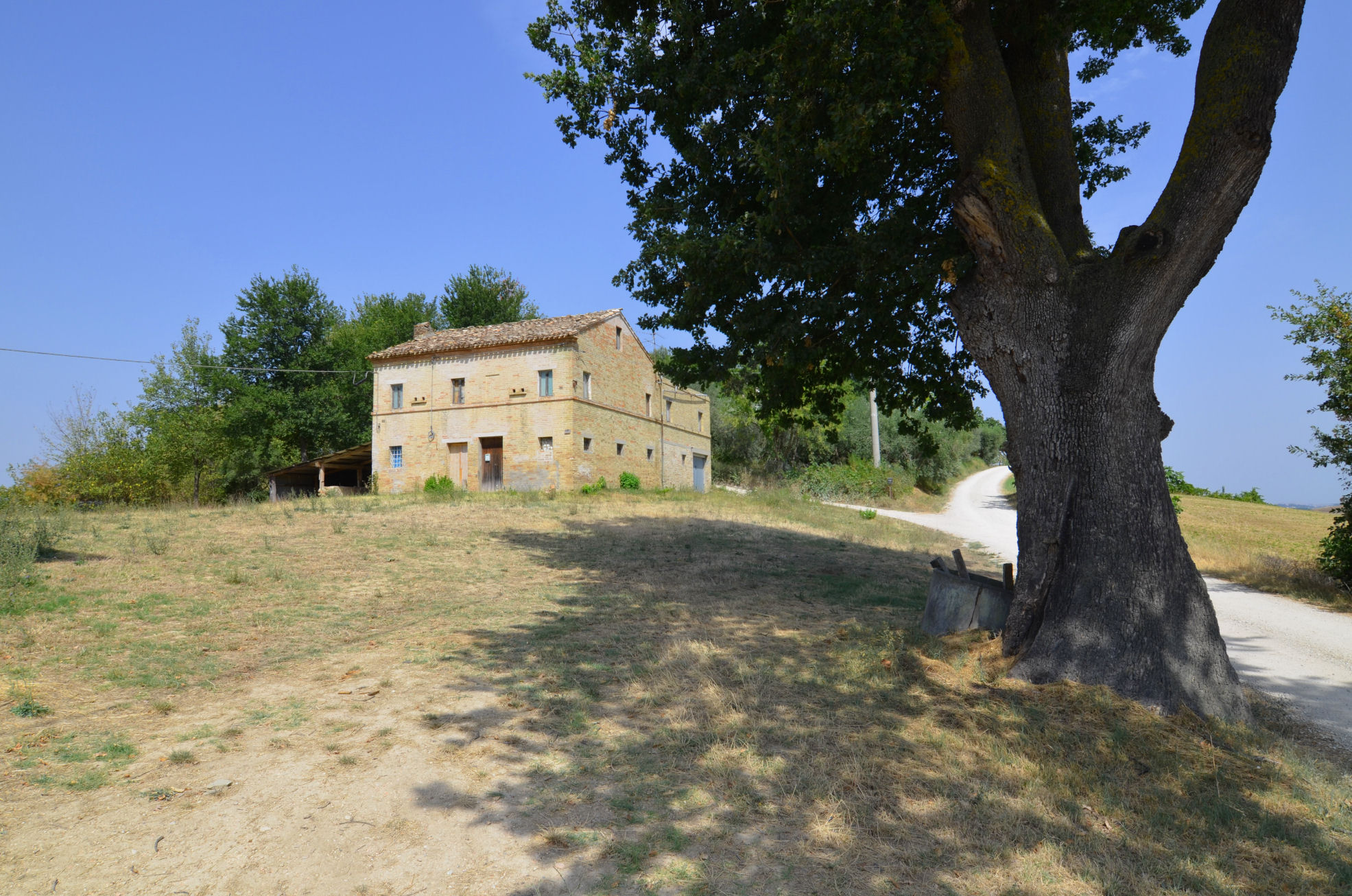 Casale Colonico Rustico in vendita a Monterubbiano, Collinare