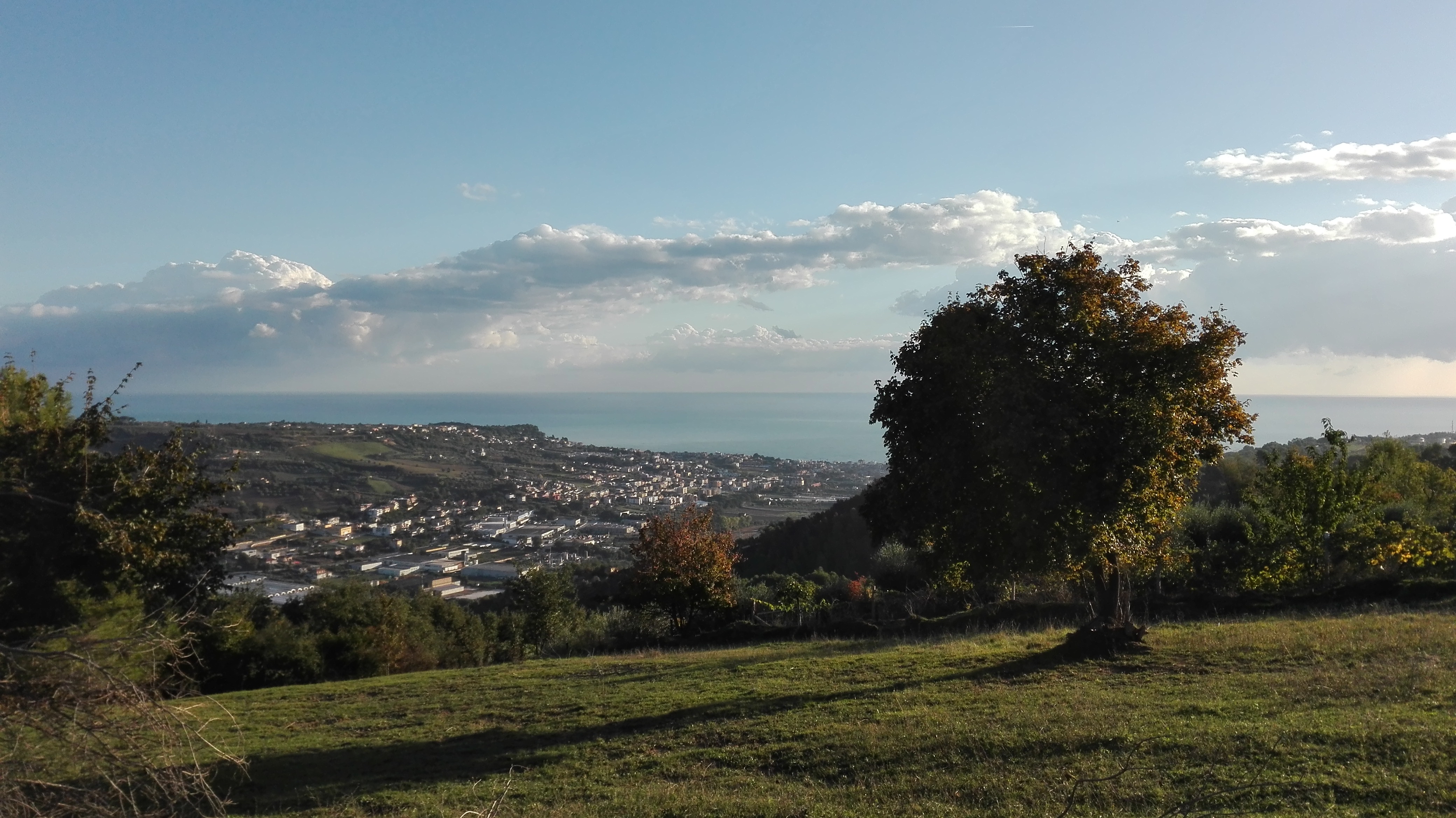 Terreno Agricolo (con / Senza Piccolo Prefabbricato) in vendita a Grottammare, Collinare (zona di ca