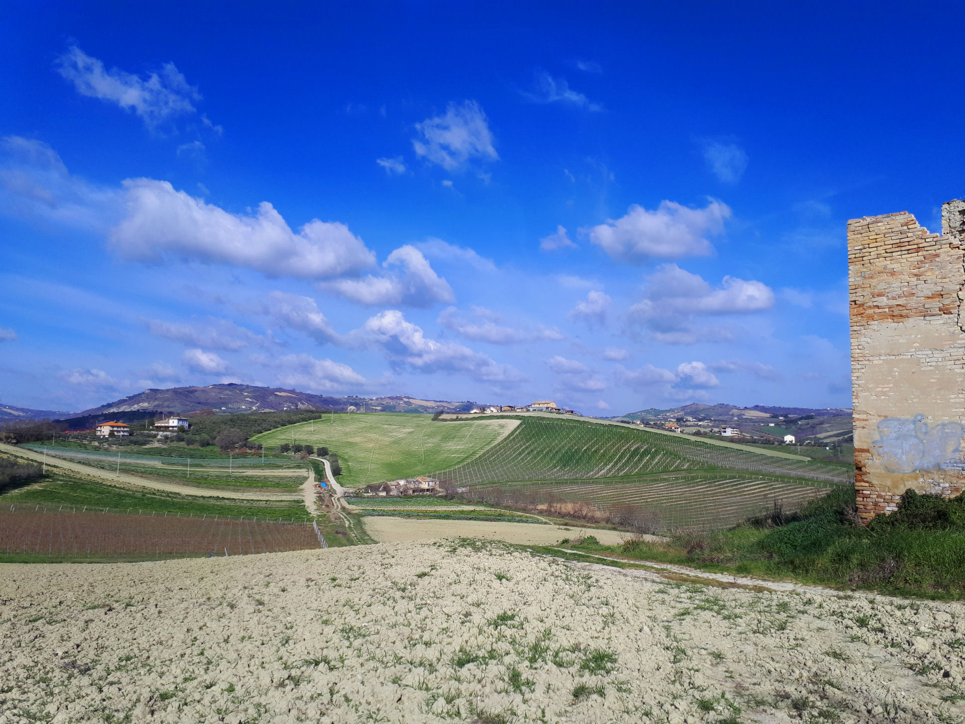 Casale Colonico Rustico in vendita a Appignano del Tronto, Collinare
