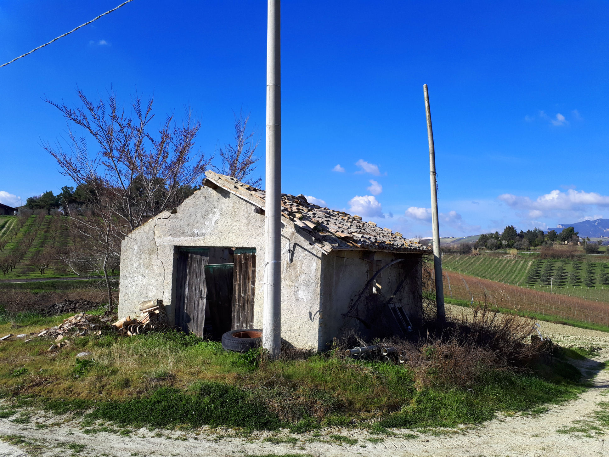 Casale Colonico Rustico in vendita a Appignano del Tronto, Collinare