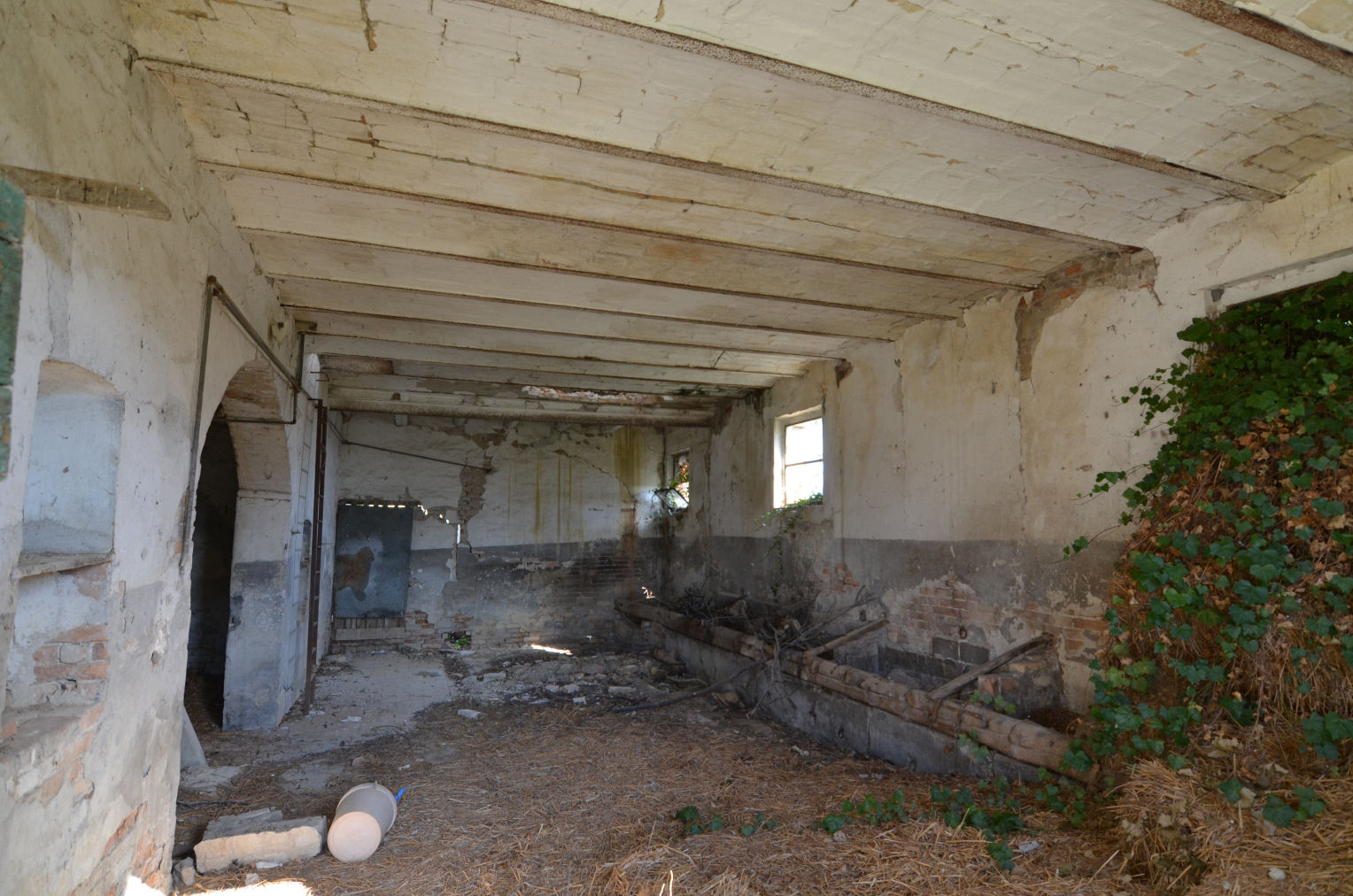 Casale Colonico Rustico in vendita a Appignano del Tronto, Collinare