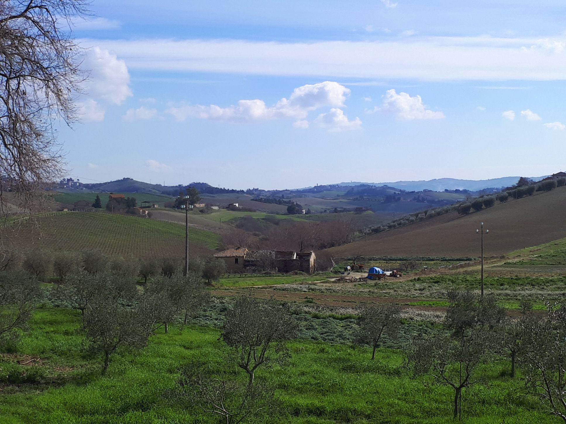 Casale Colonico Rustico in vendita a Appignano del Tronto, Collinare