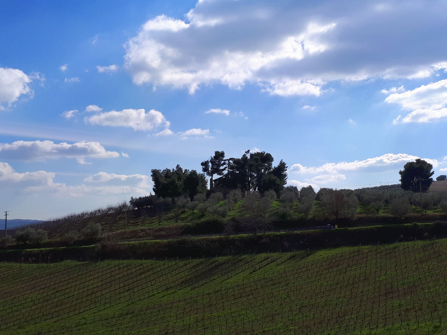 Casale Colonico Rustico in vendita a Appignano del Tronto, Collinare